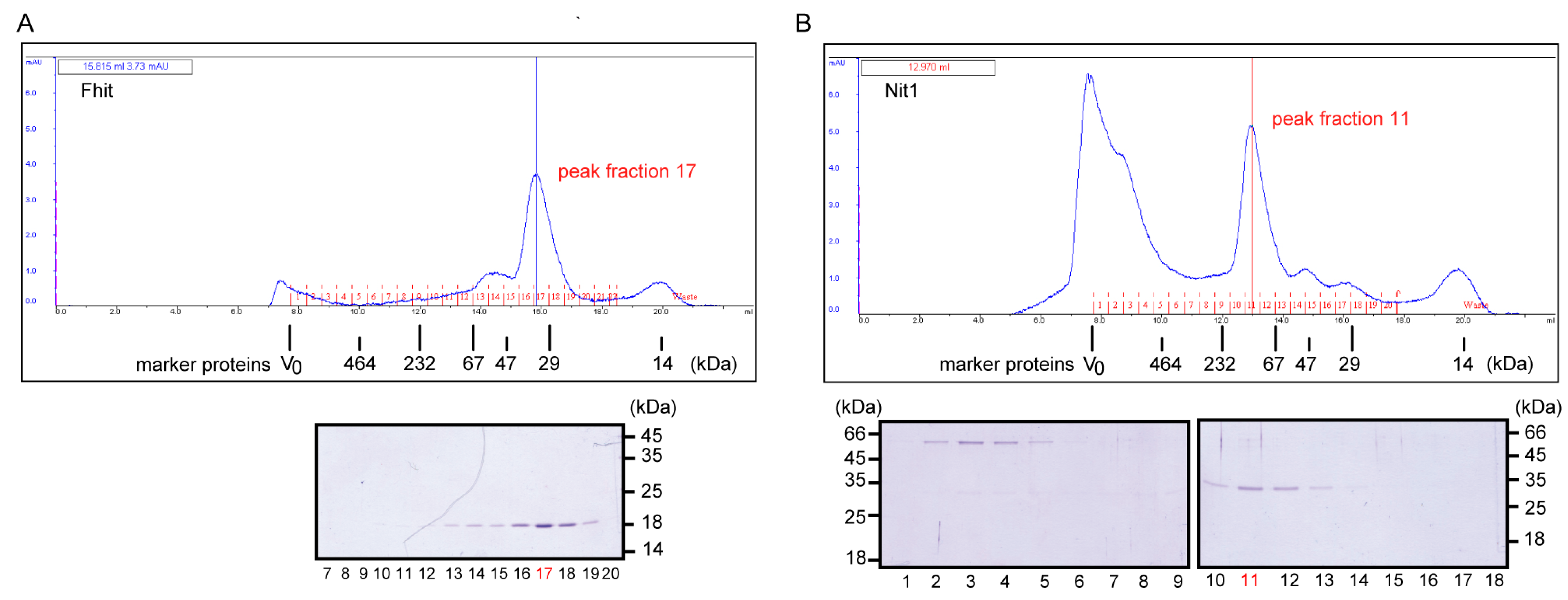 Cells 12 00353 g003 Cells 12 00353 g003