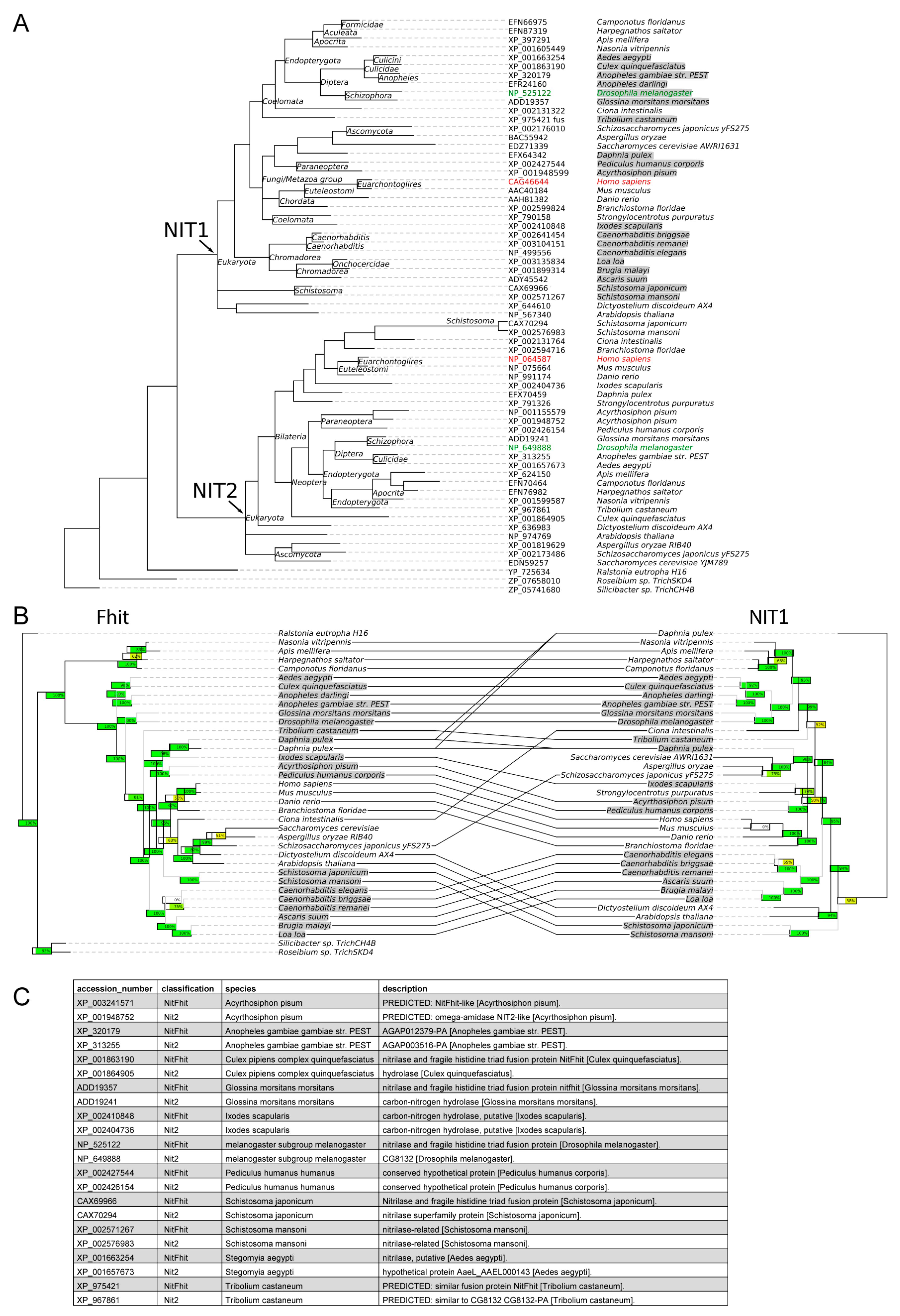 Cells 12 00353 g0a1 Cells 12 00353 g0a1