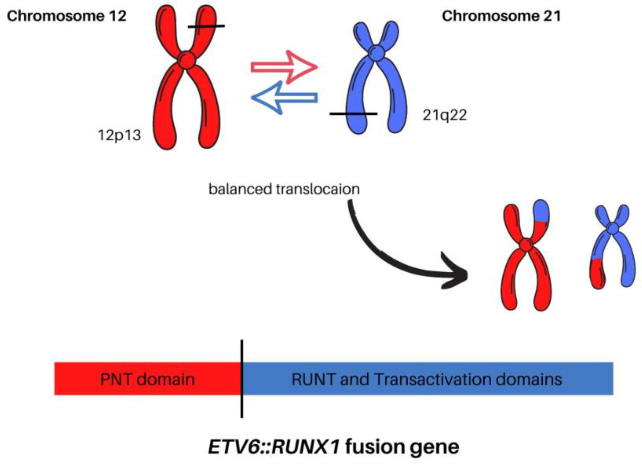 Cells 12 00357 g002 Cells 12 00357 g002