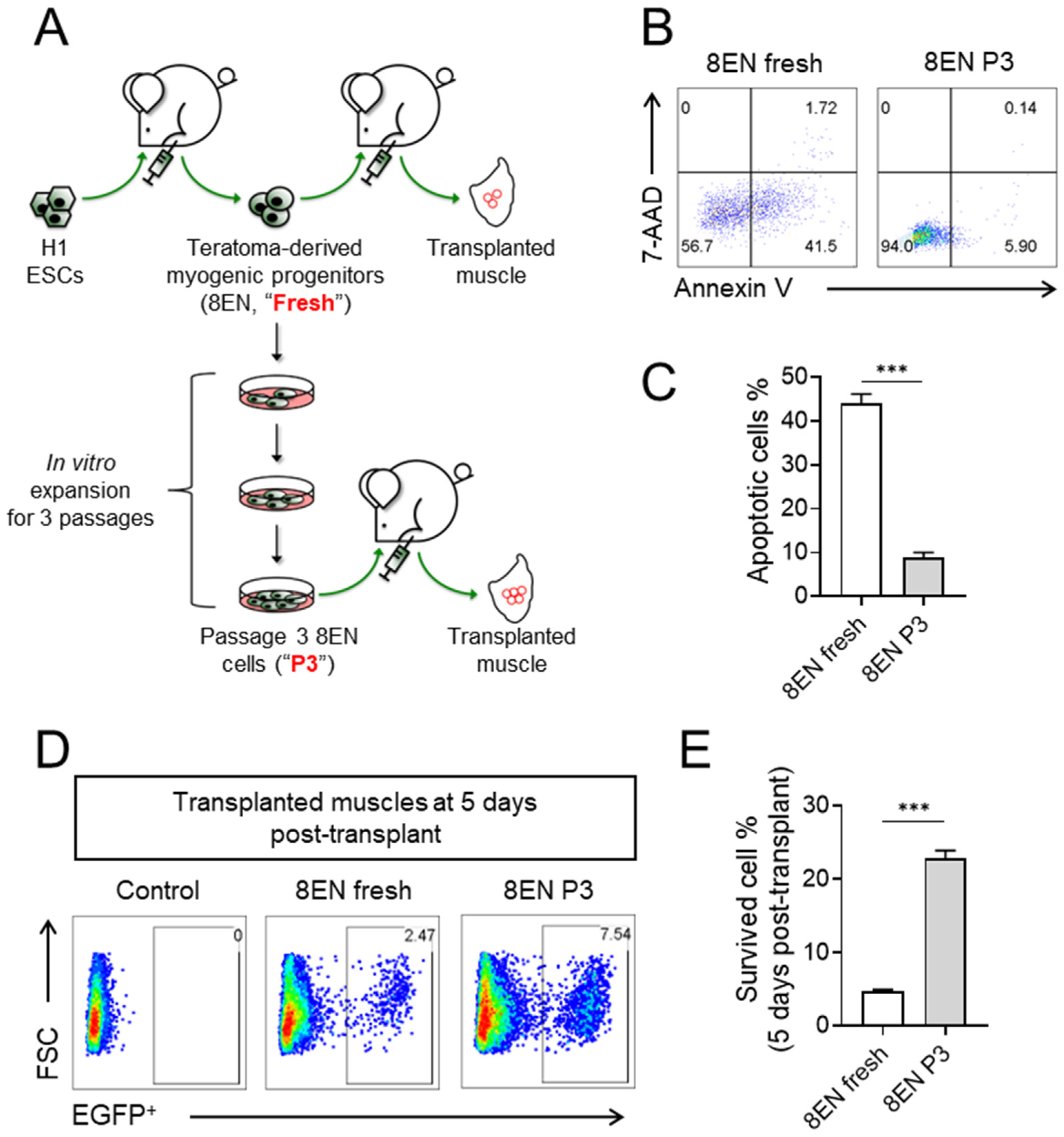 Cells 12 00362 g003 Cells 12 00362 g003
