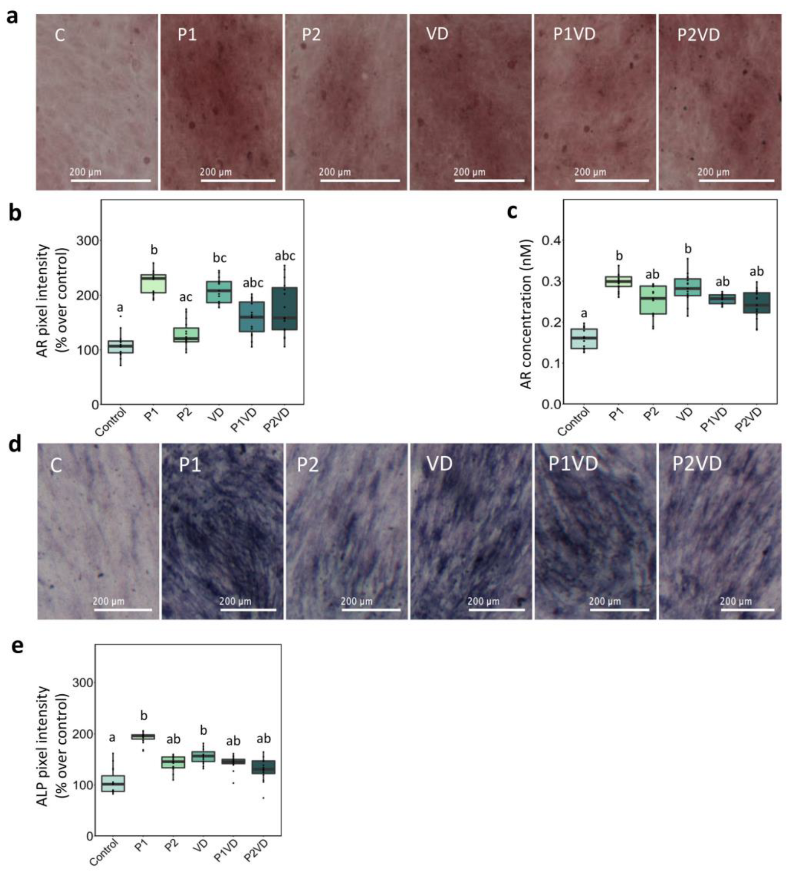 Cells 12 00364 g002 Cells 12 00364 g002