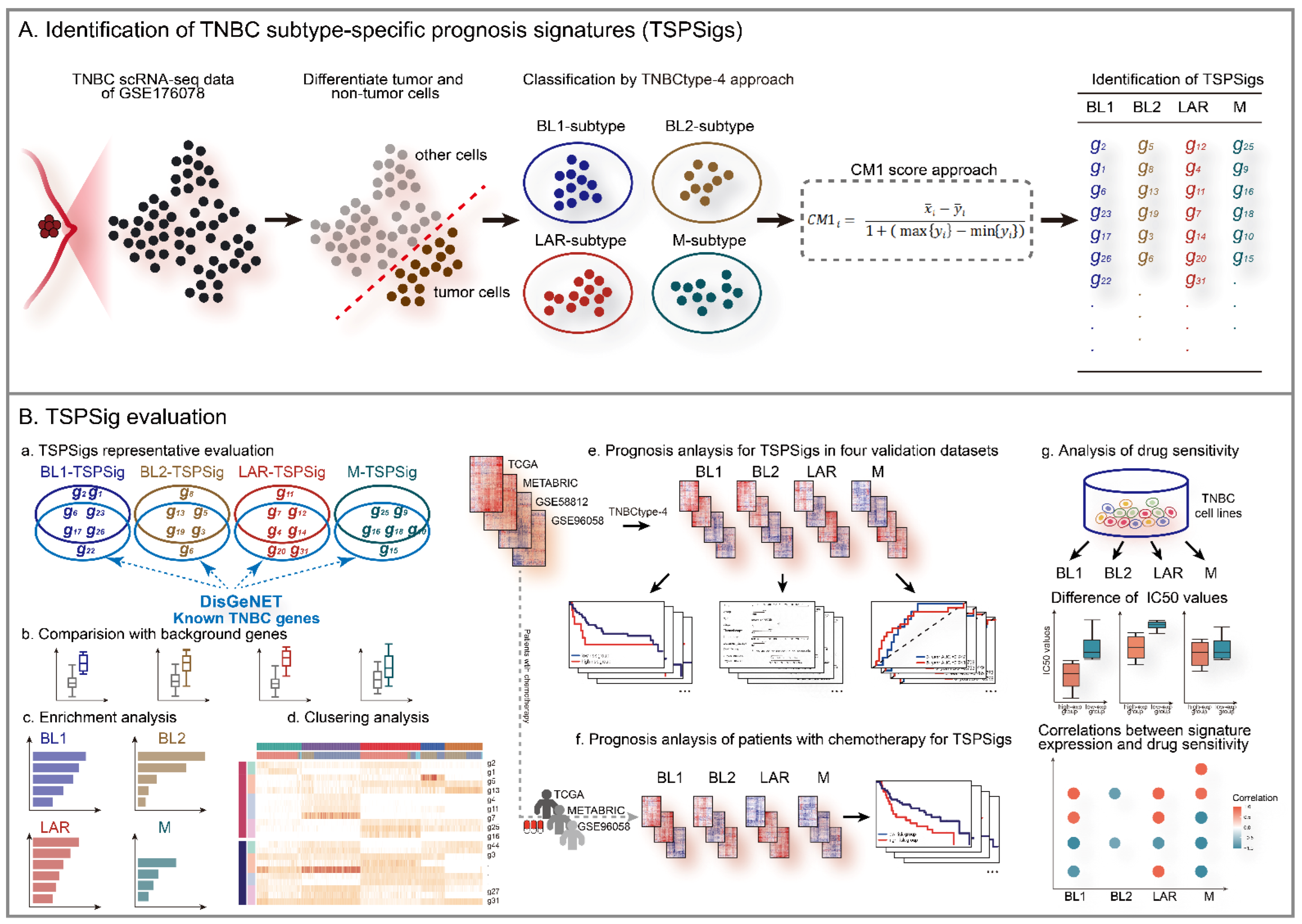 Cells 12 00367 g001 Cells 12 00367 g001