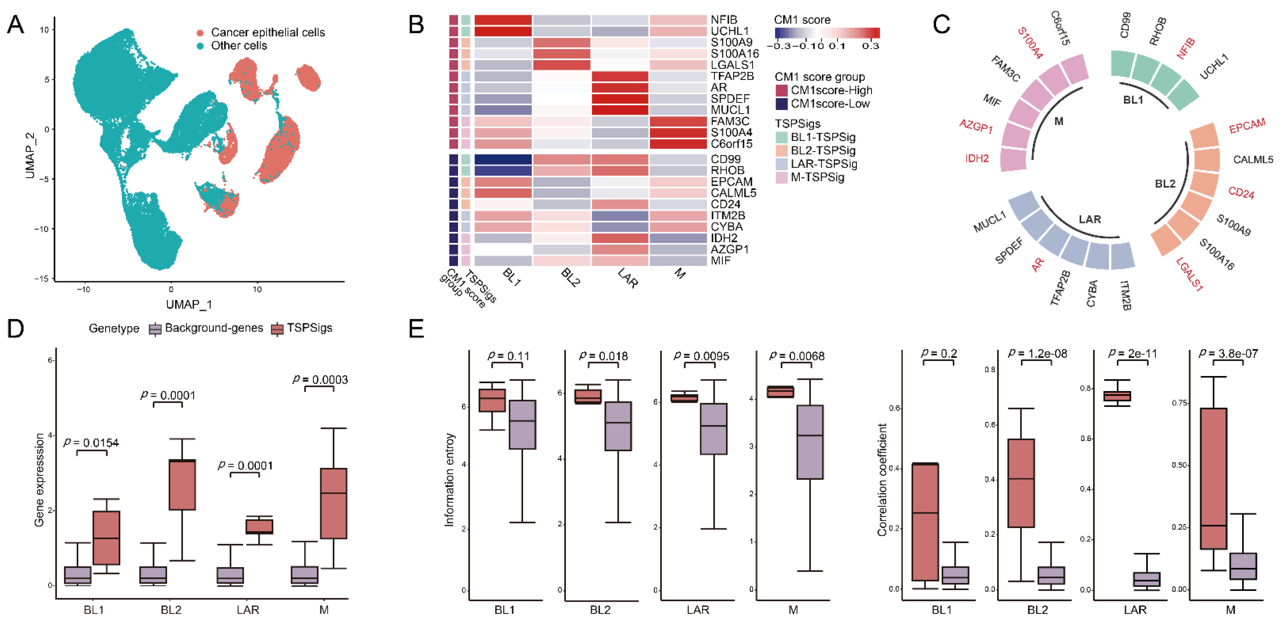 Cells 12 00367 g002 Cells 12 00367 g002