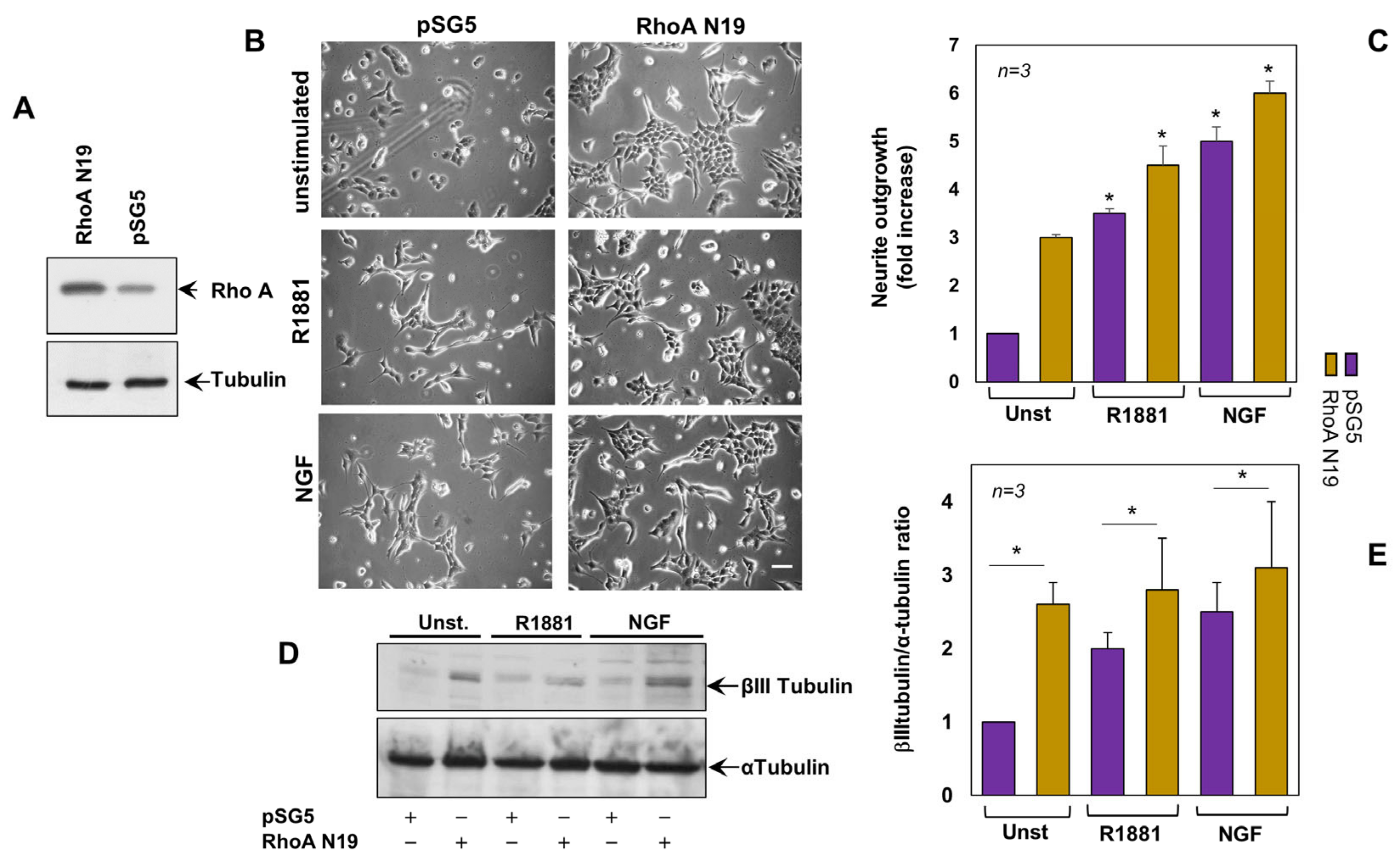 Cells 12 00373 g002 Cells 12 00373 g002