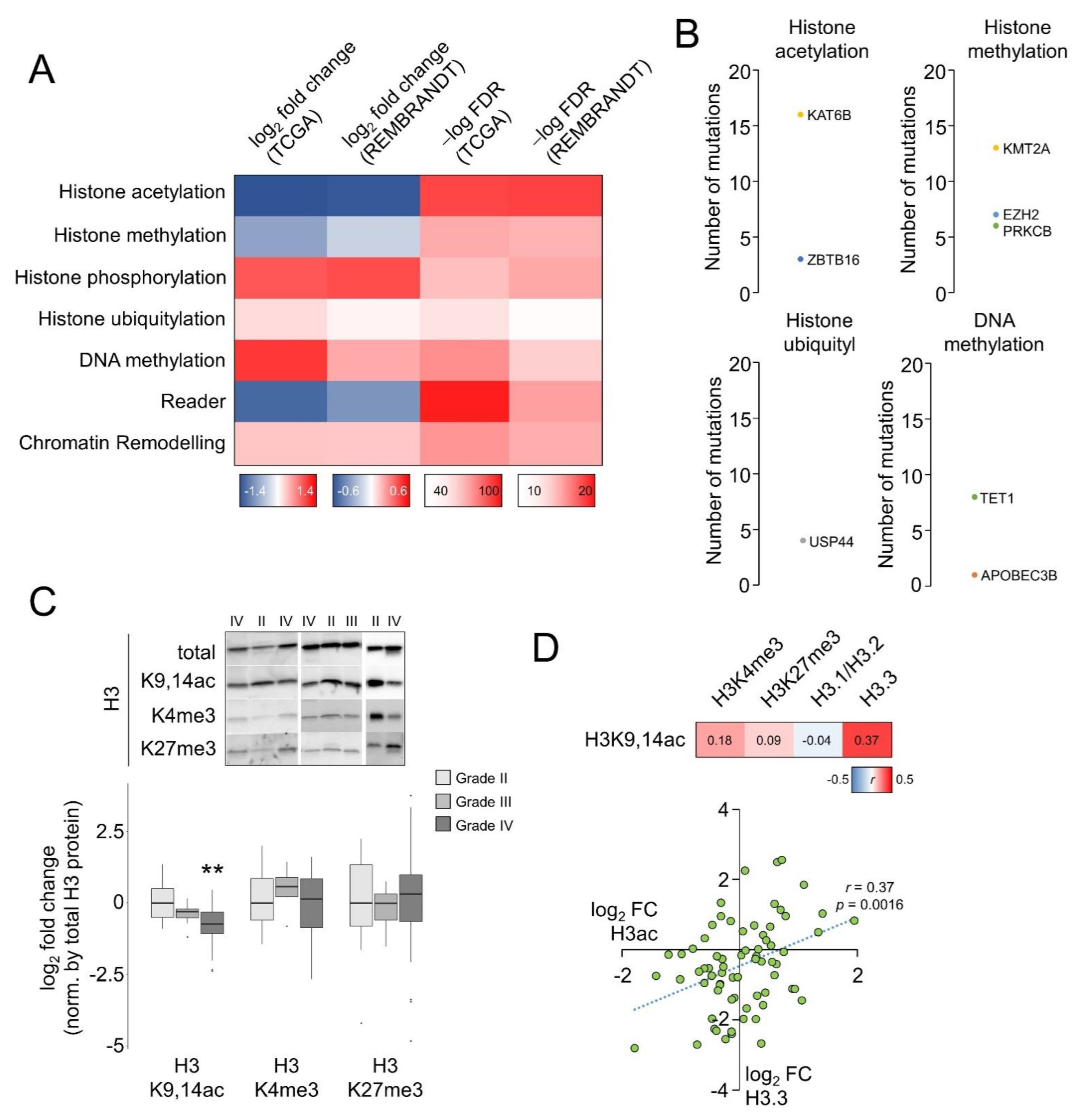 Cells 12 00374 g001 Cells 12 00374 g001