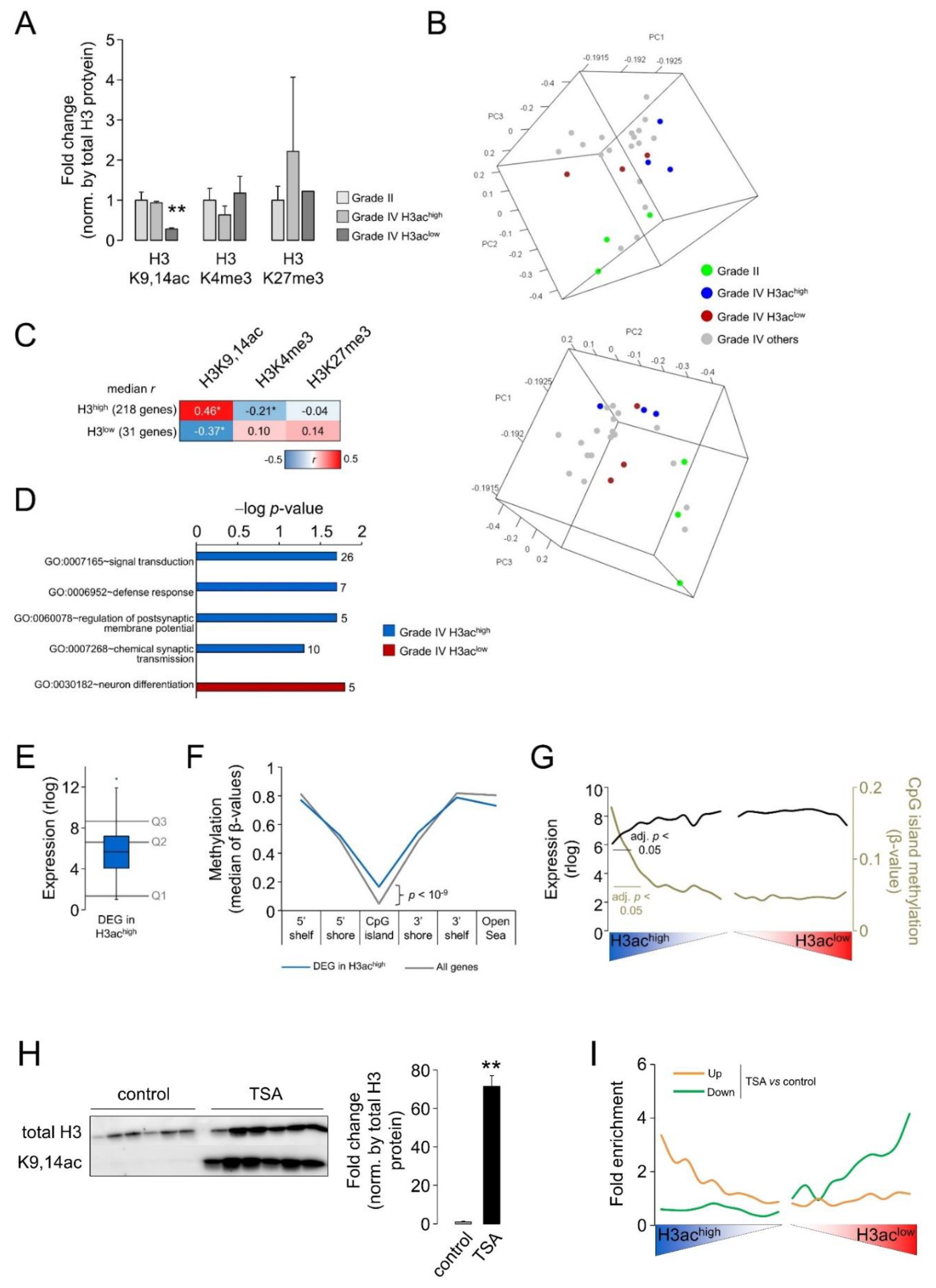 Cells 12 00374 g002 Cells 12 00374 g002