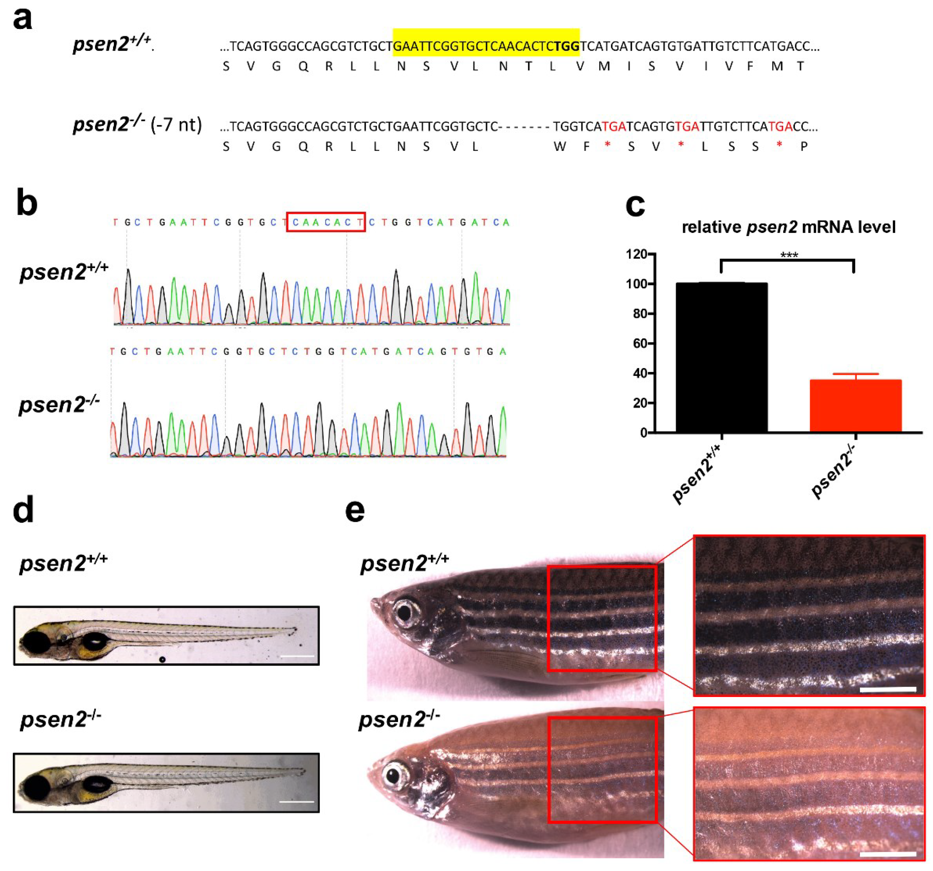 Cells 12 00376 g001 Cells 12 00376 g001