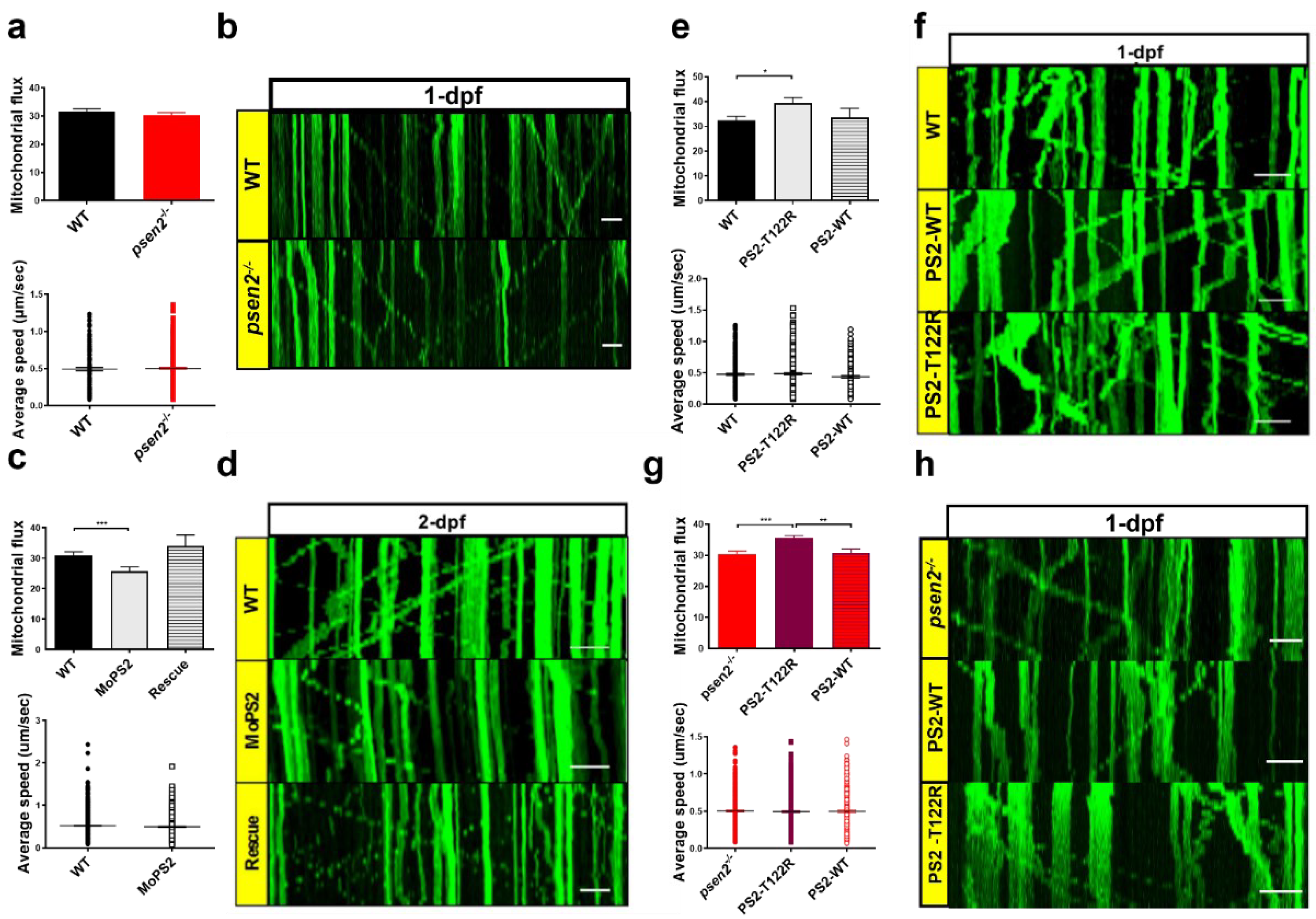 Cells 12 00376 g005 Cells 12 00376 g005