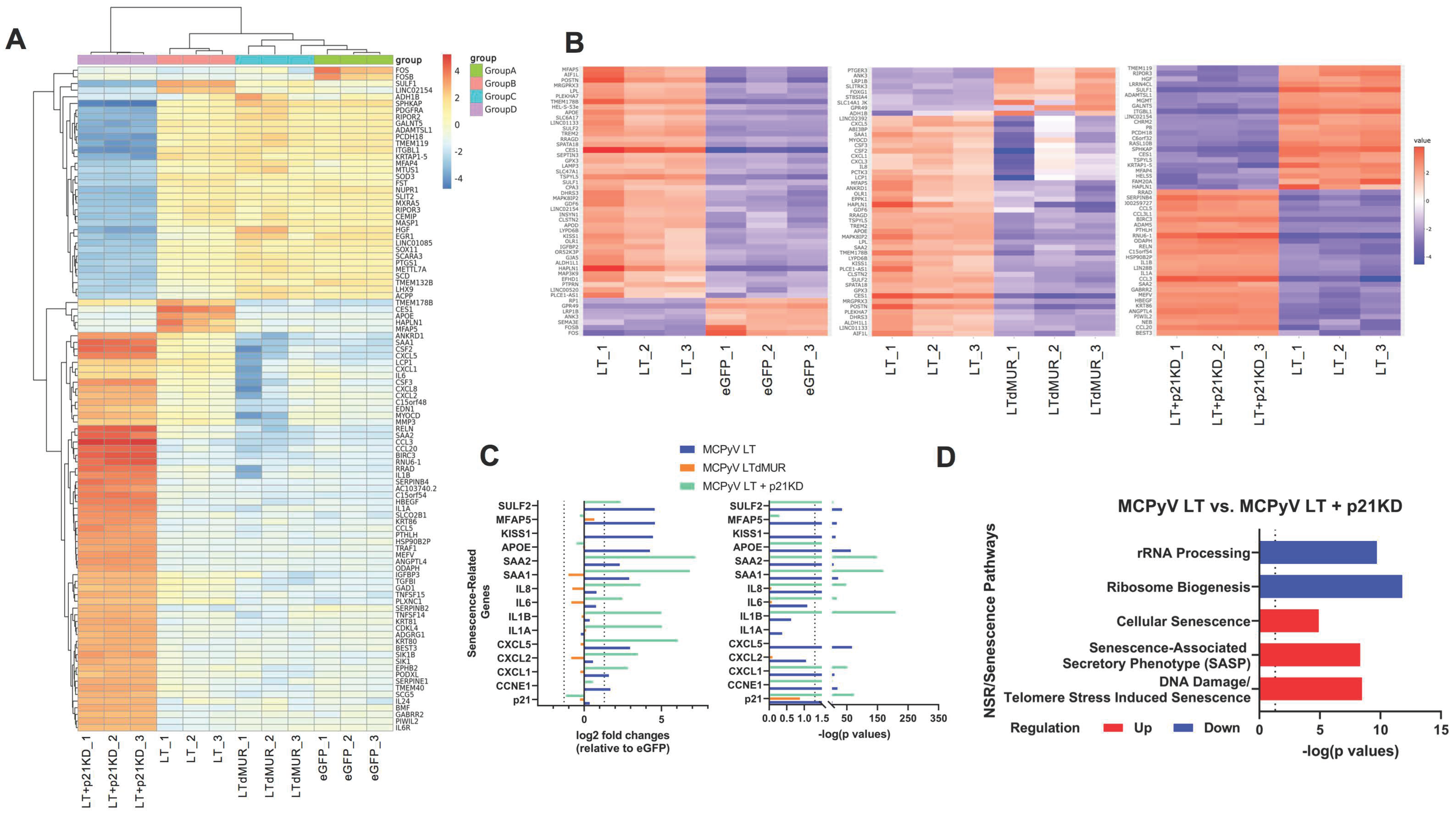 Cells 12 00380 g005 Cells 12 00380 g005