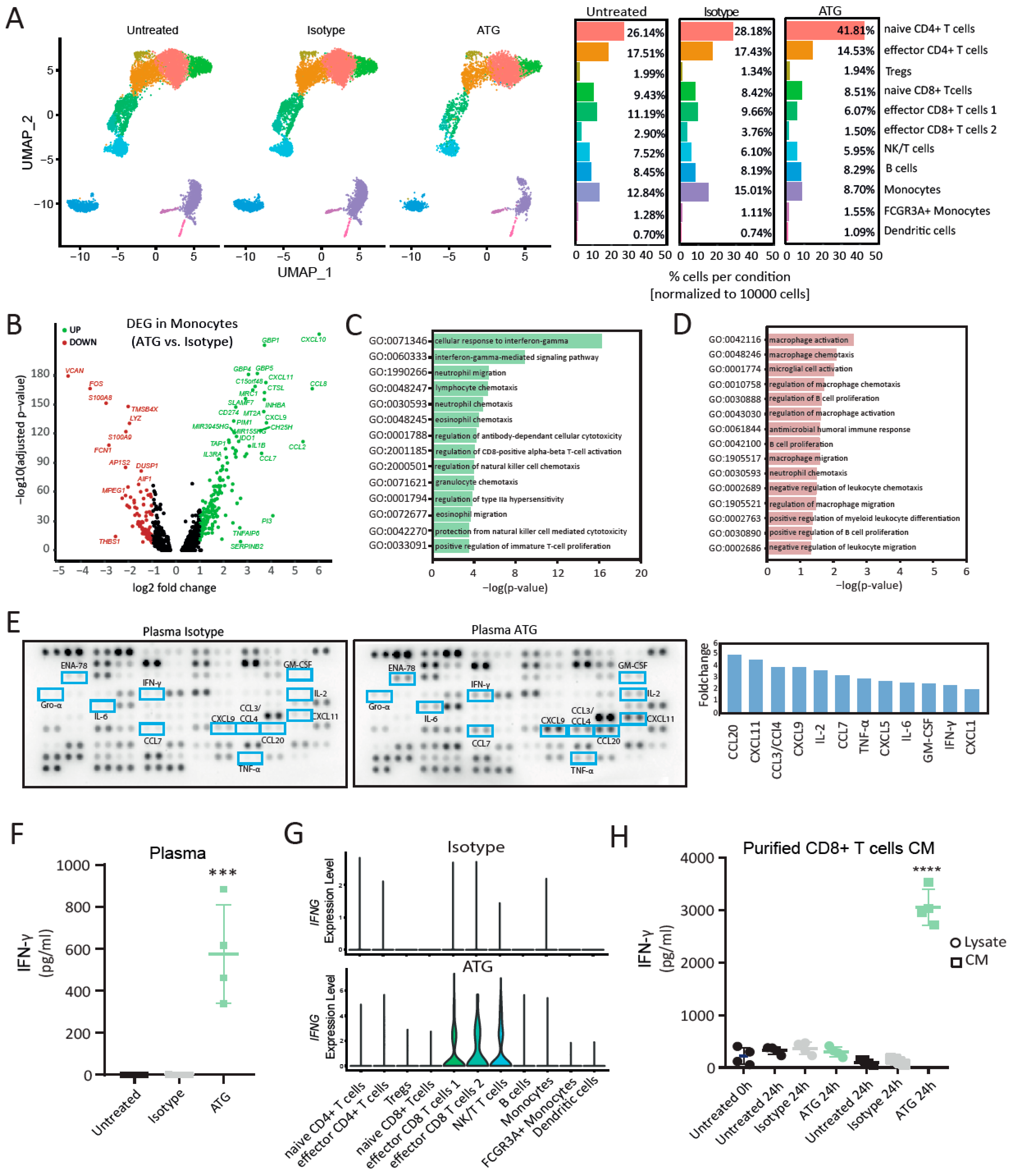 Cells 12 00382 g001 Cells 12 00382 g001