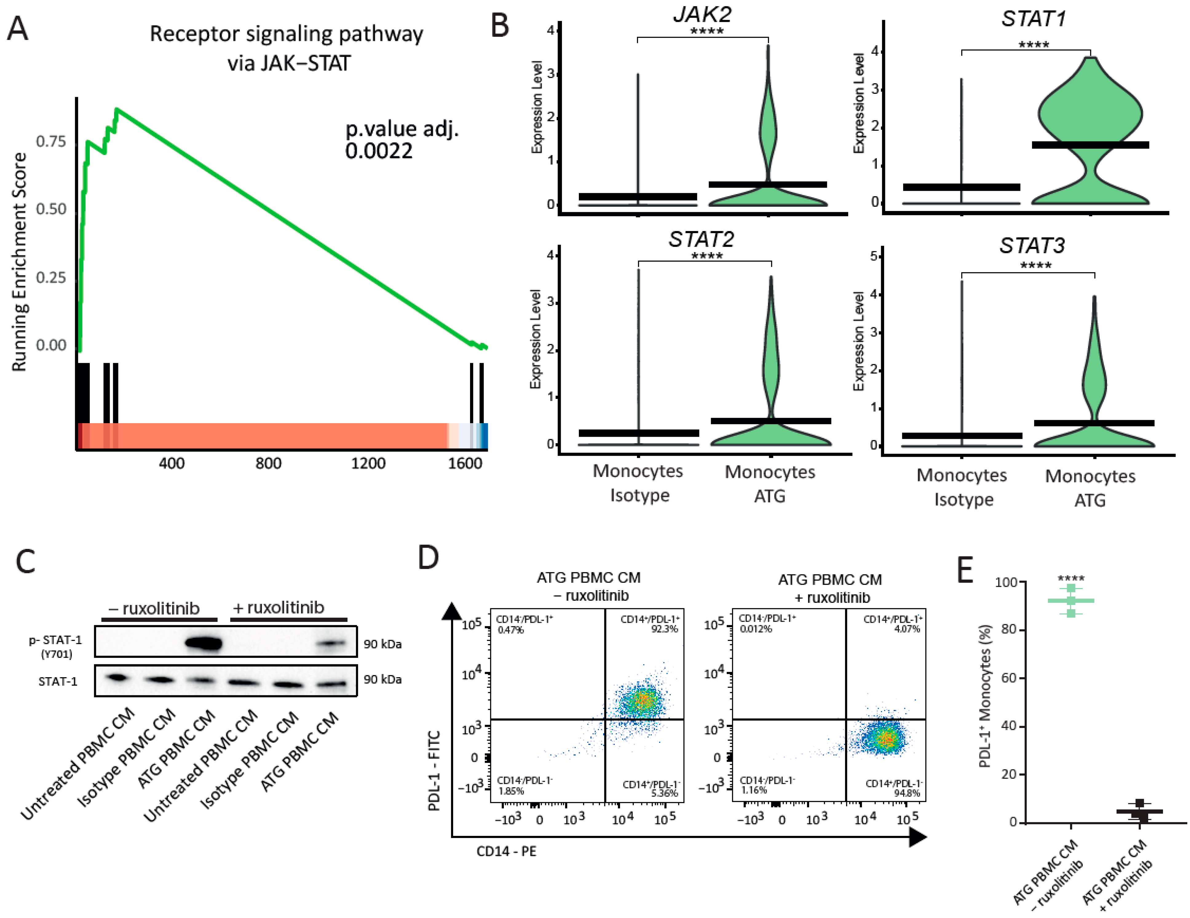 Cells 12 00382 g004 Cells 12 00382 g004