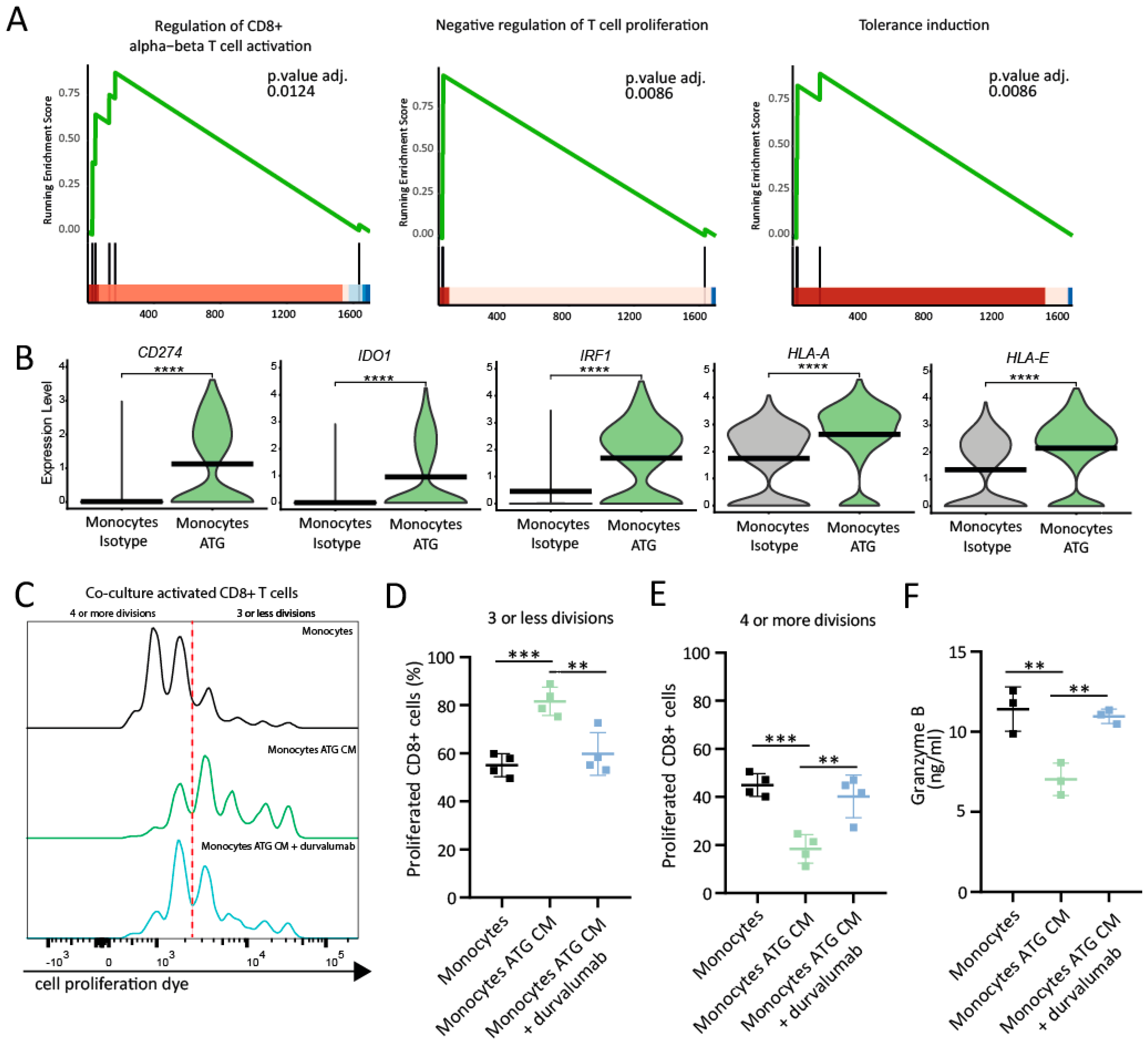 Cells 12 00382 g005 Cells 12 00382 g005