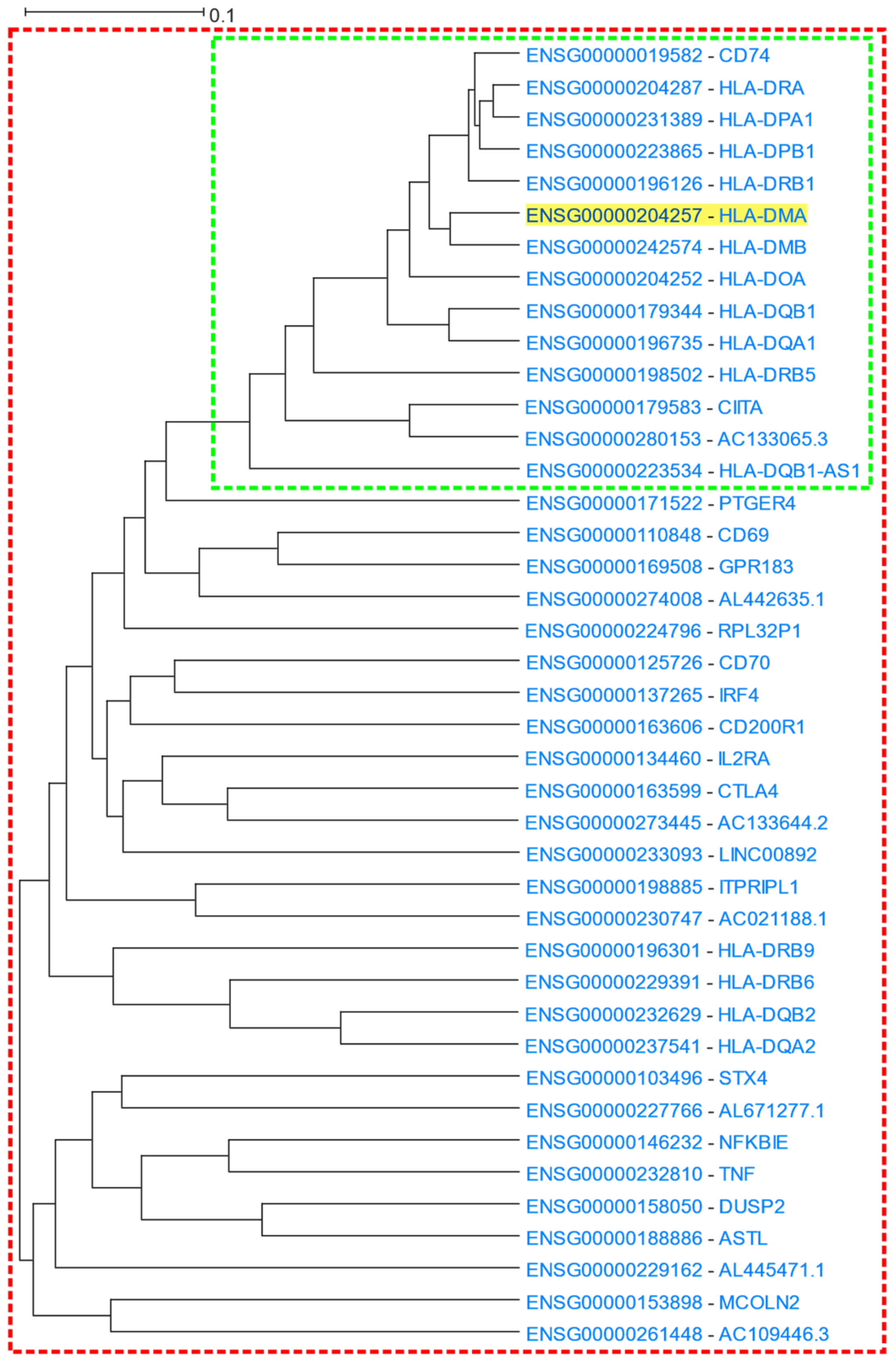 Cells 12 00388 g004 Cells 12 00388 g004