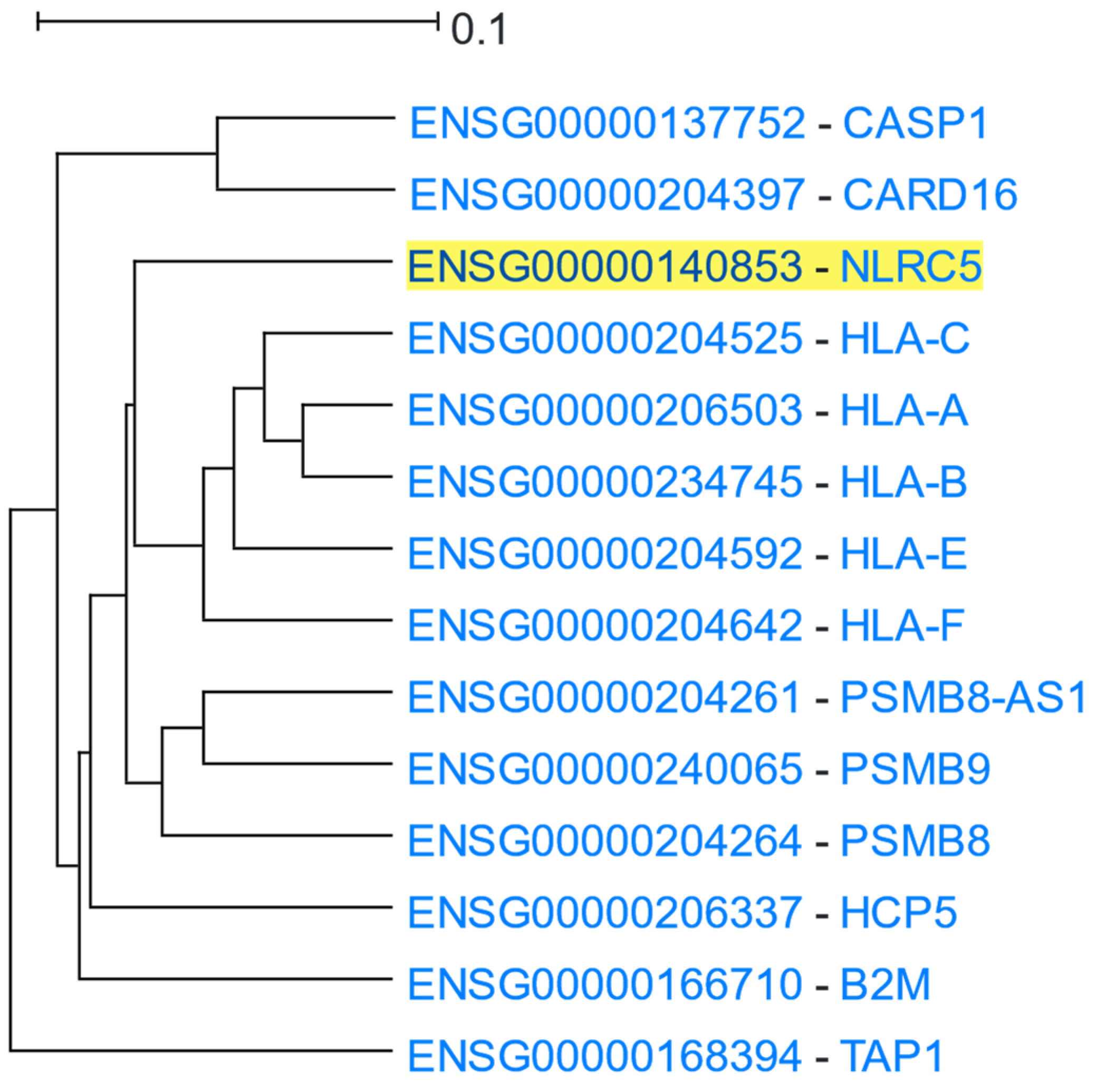 Cells 12 00388 g005 Cells 12 00388 g005
