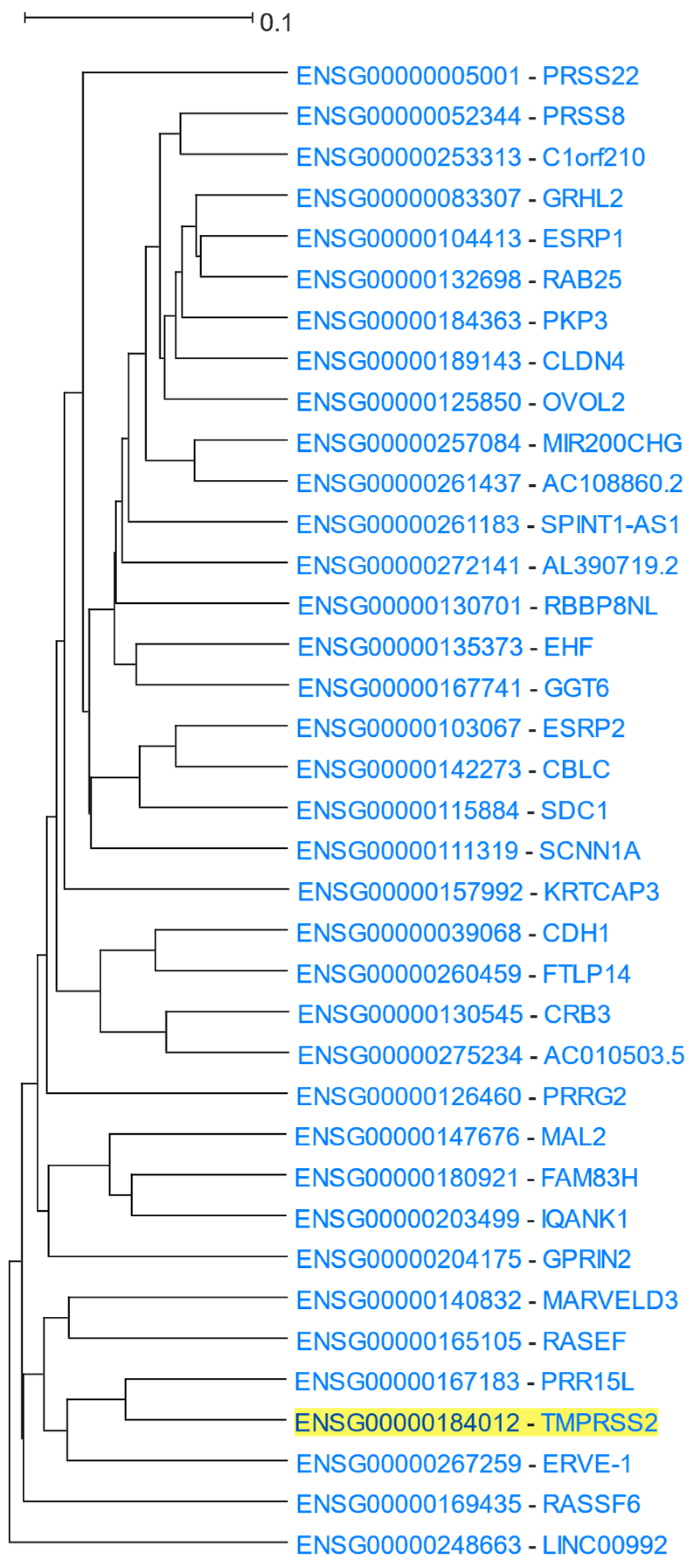 Cells 12 00388 g007 Cells 12 00388 g007