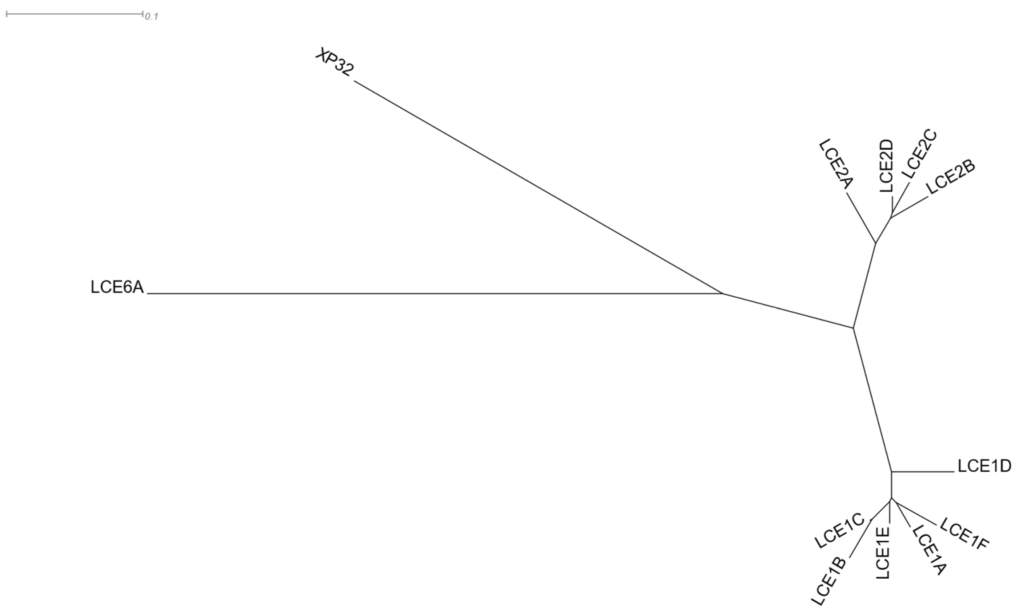 Cells 12 00388 g009 Cells 12 00388 g009