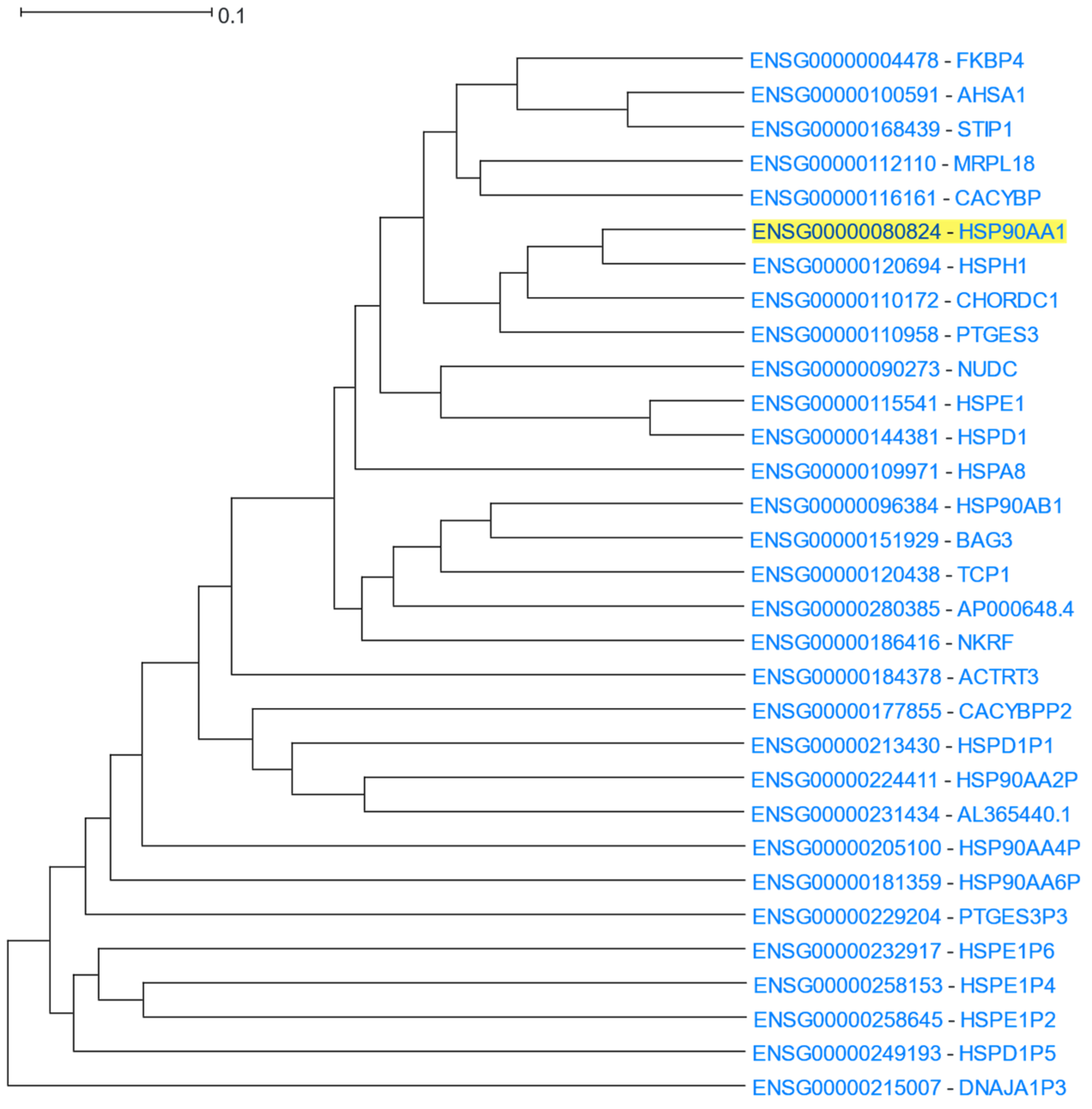 Cells 12 00388 g010 Cells 12 00388 g010