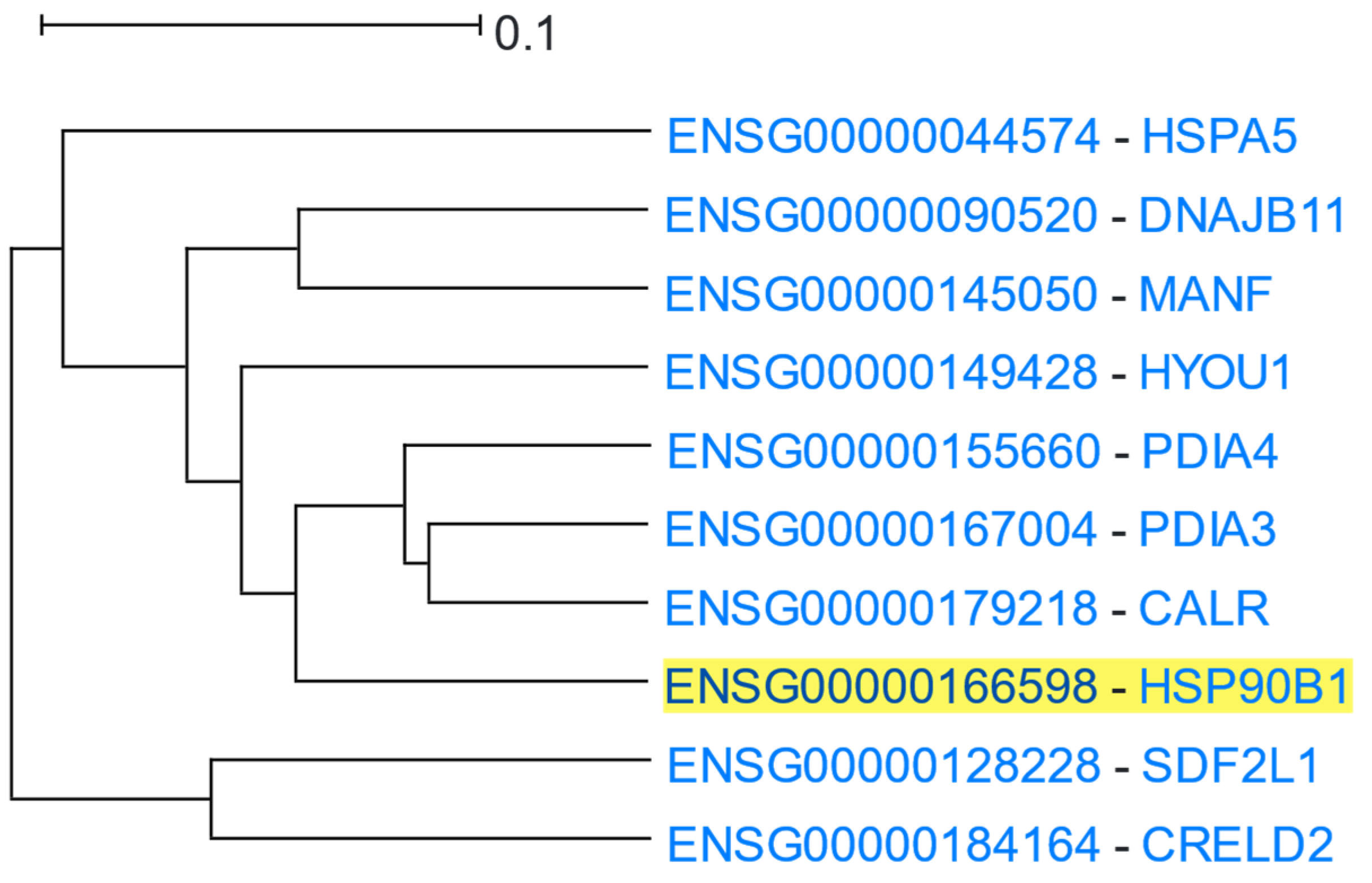 Cells 12 00388 g011 Cells 12 00388 g011