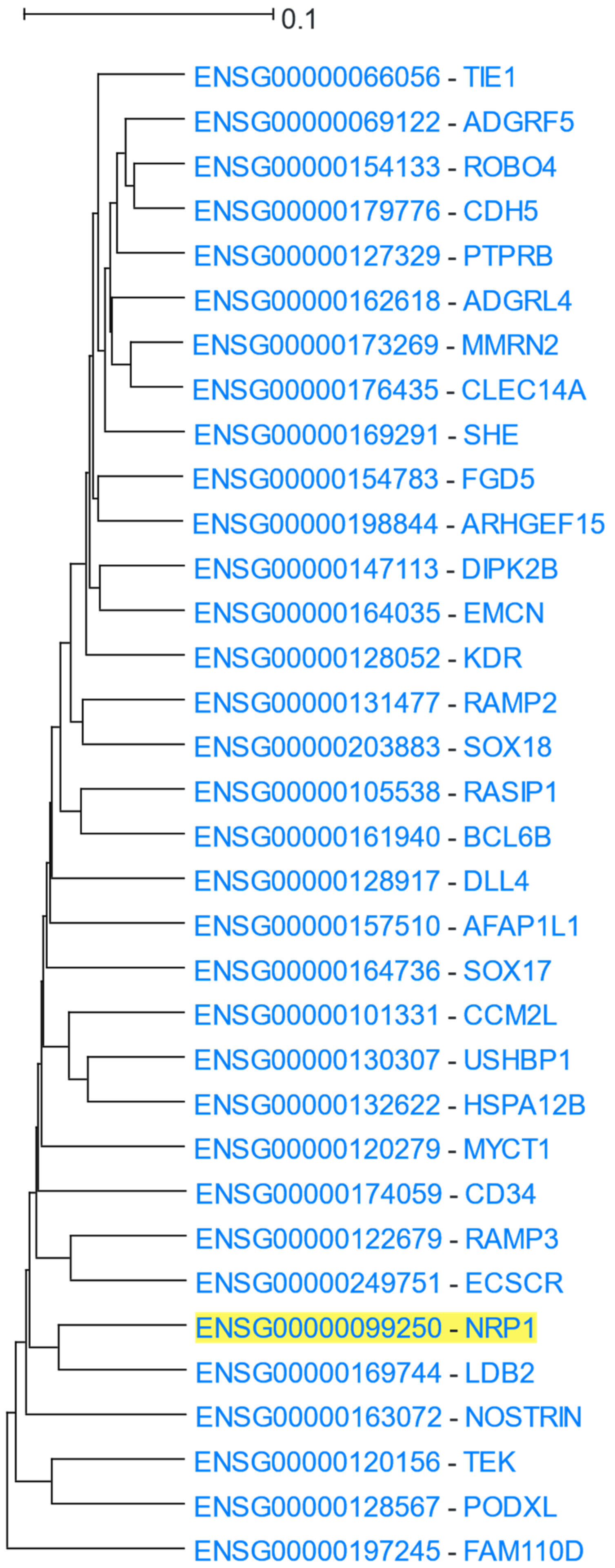 Cells 12 00388 g012 Cells 12 00388 g012