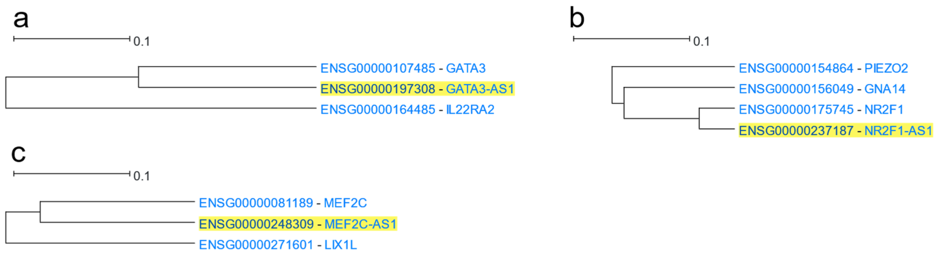 Cells 12 00388 g015 Cells 12 00388 g015