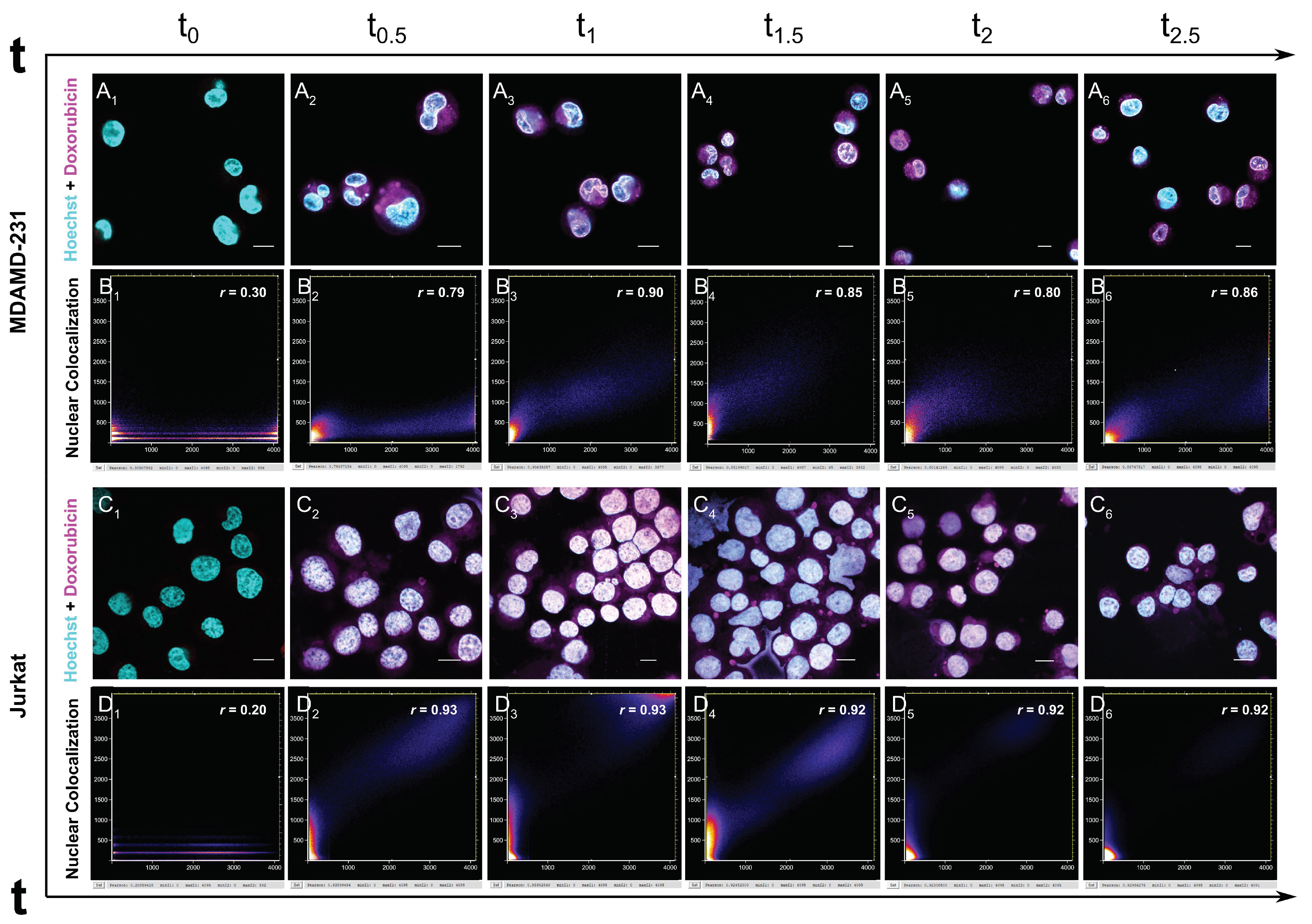 Cells 12 00392 g005 Cells 12 00392 g005