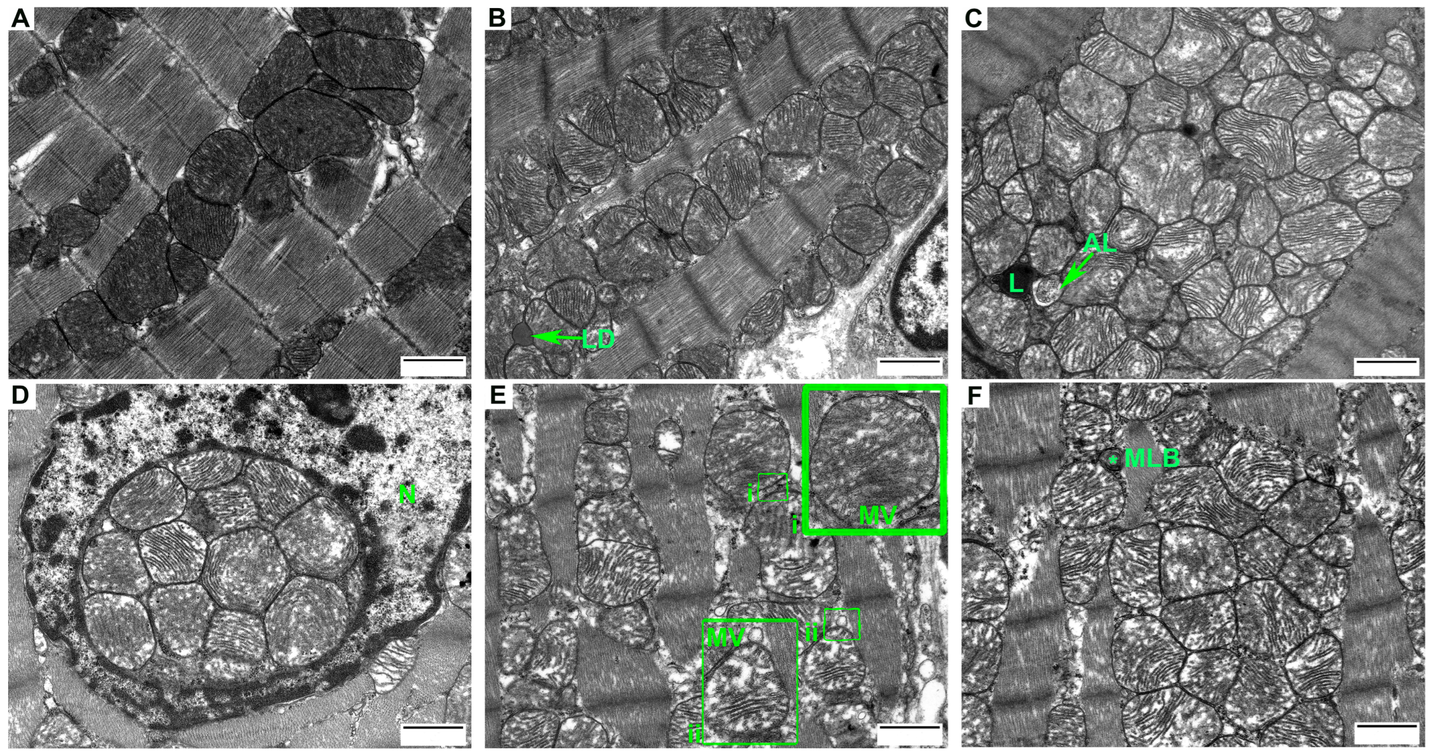 Cells 12 00396 g001a Cells 12 00396 g001a