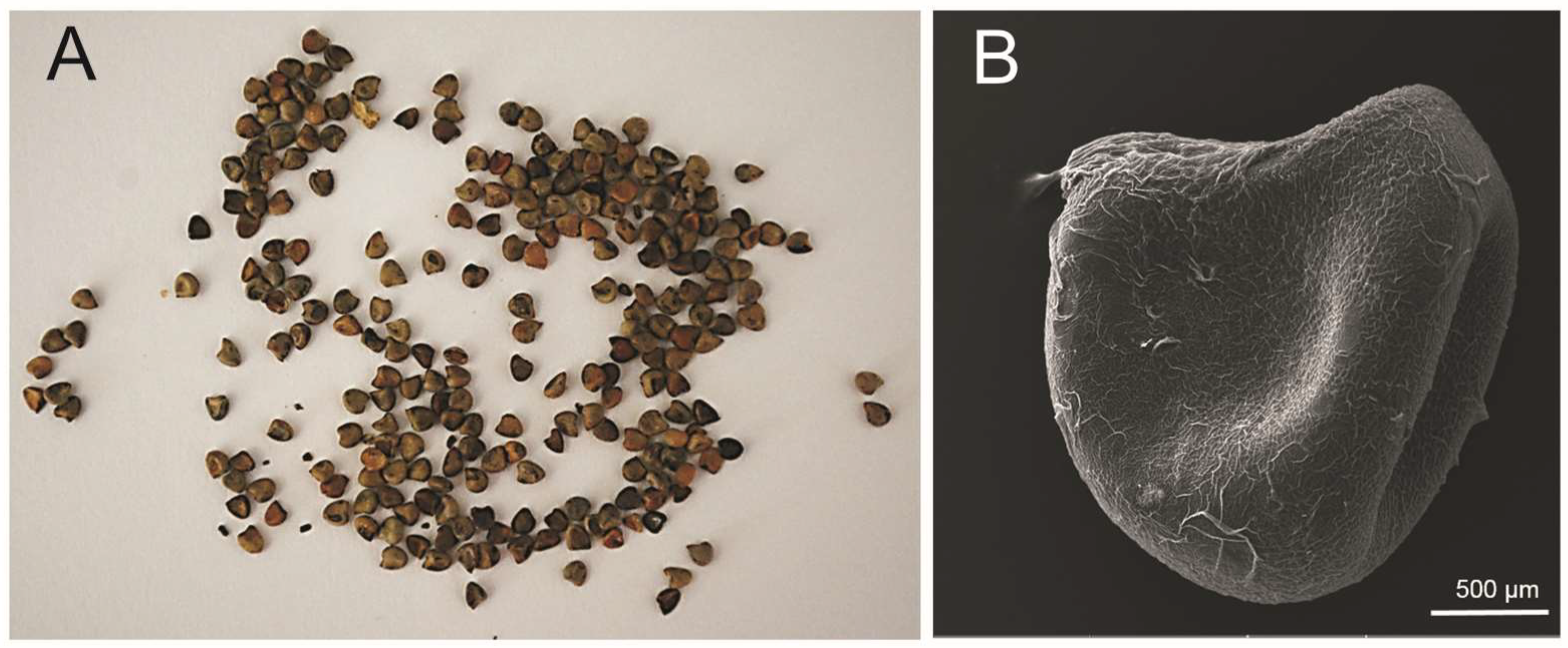 Cells 12 00397 g001 Cells 12 00397 g001