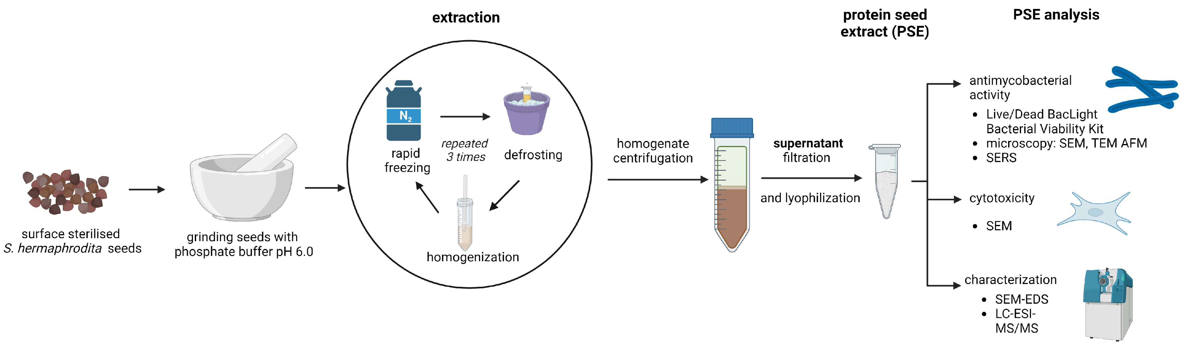 Cells 12 00397 g002 Cells 12 00397 g002