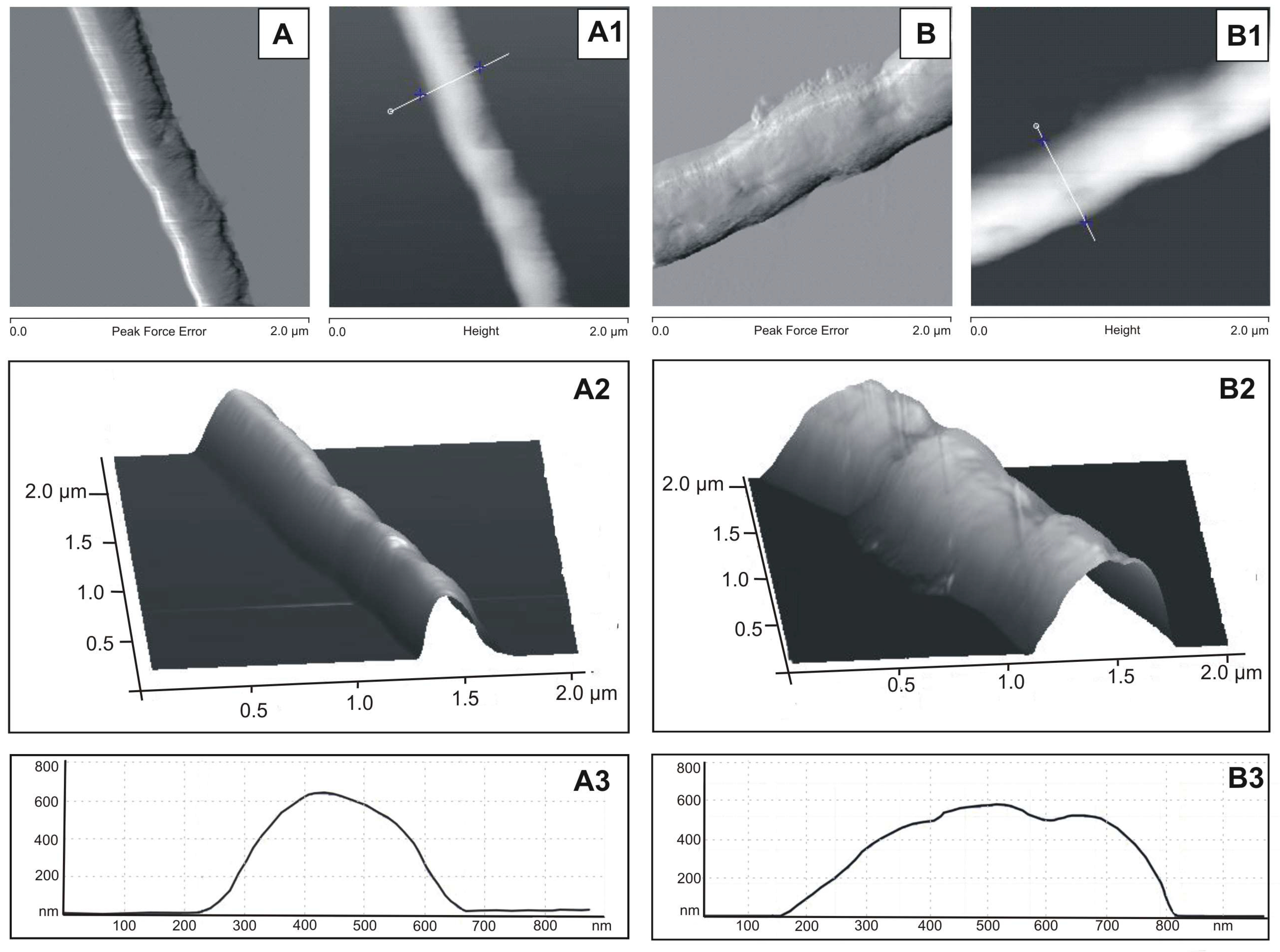 Cells 12 00397 g006 Cells 12 00397 g006