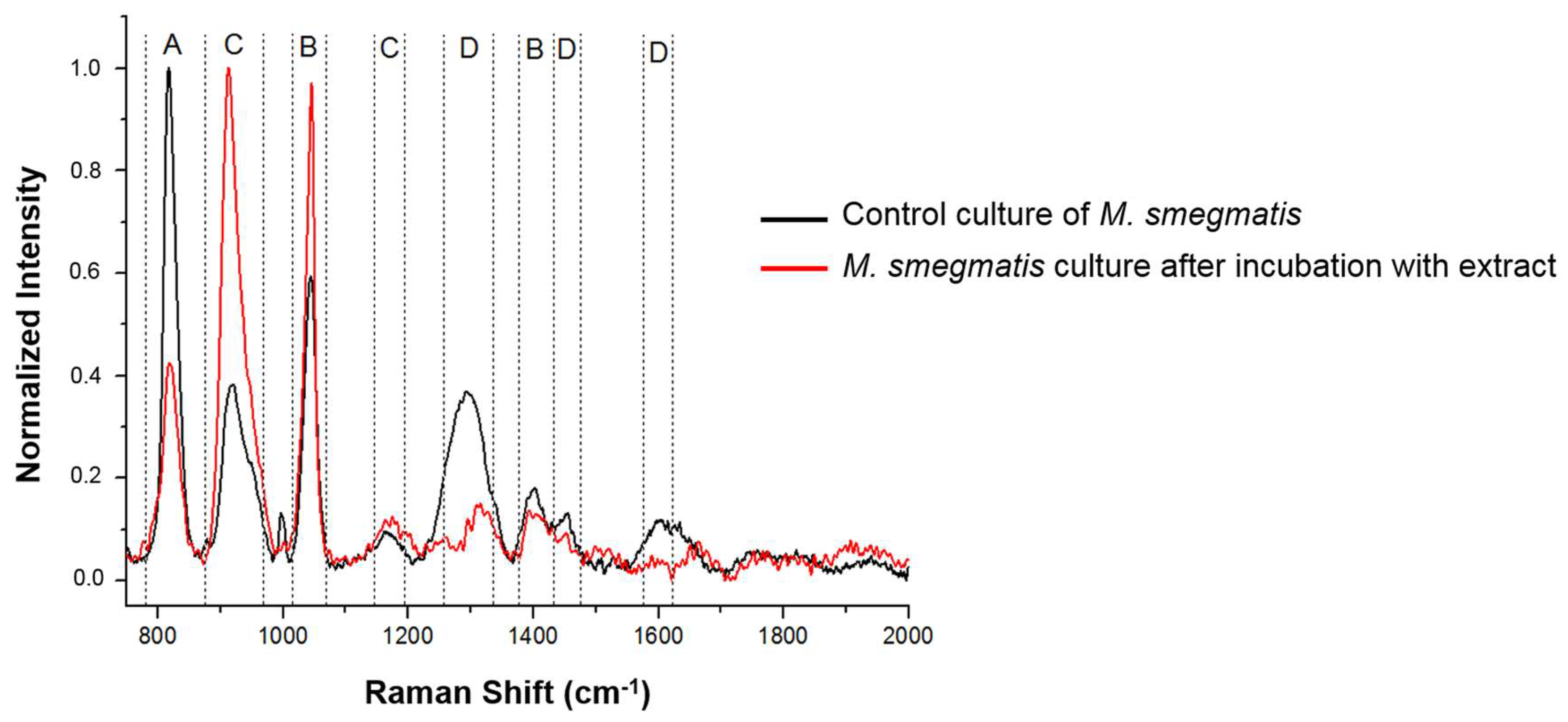 Cells 12 00397 g008 Cells 12 00397 g008