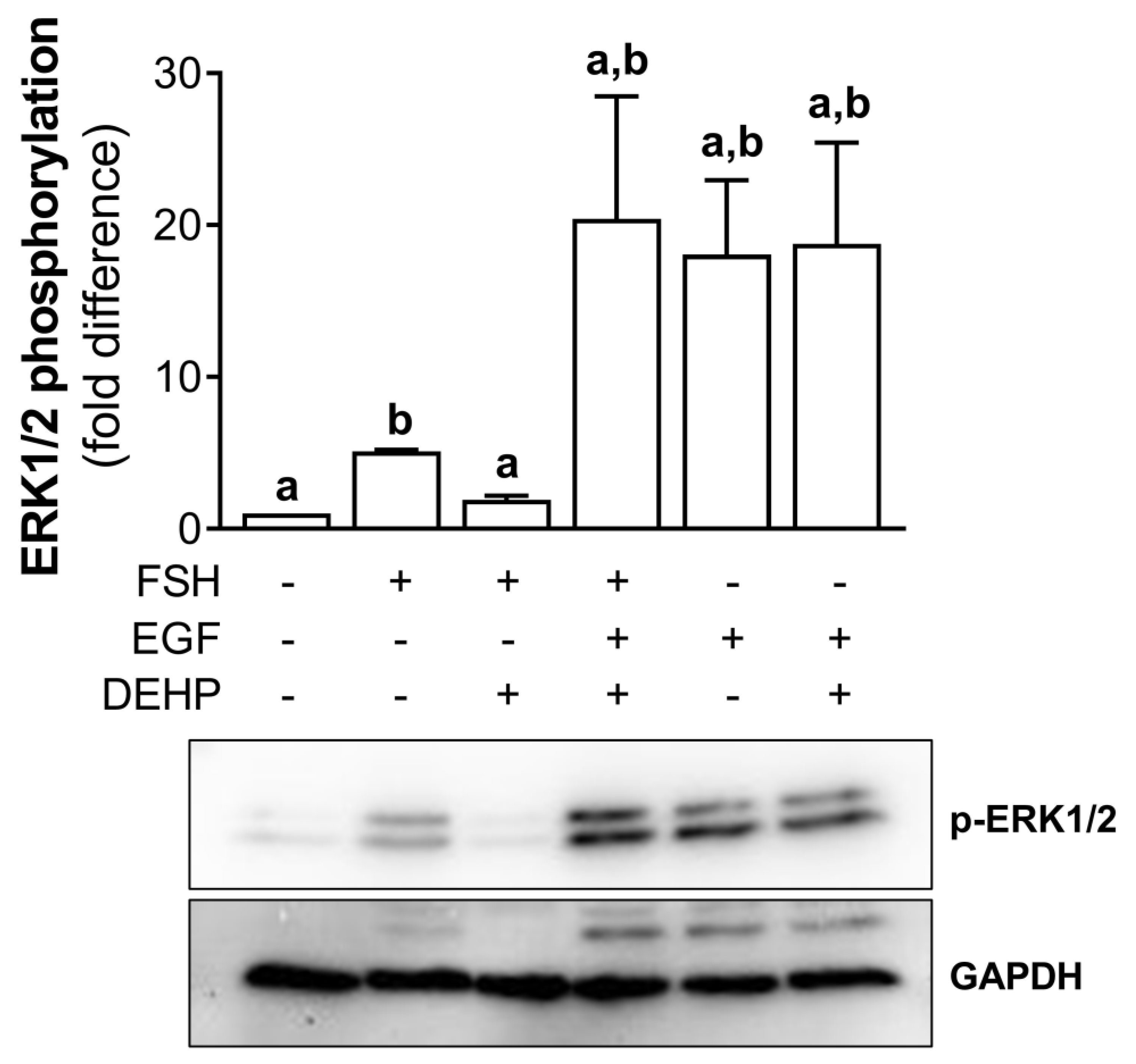 Cells 12 00398 g006 Cells 12 00398 g006