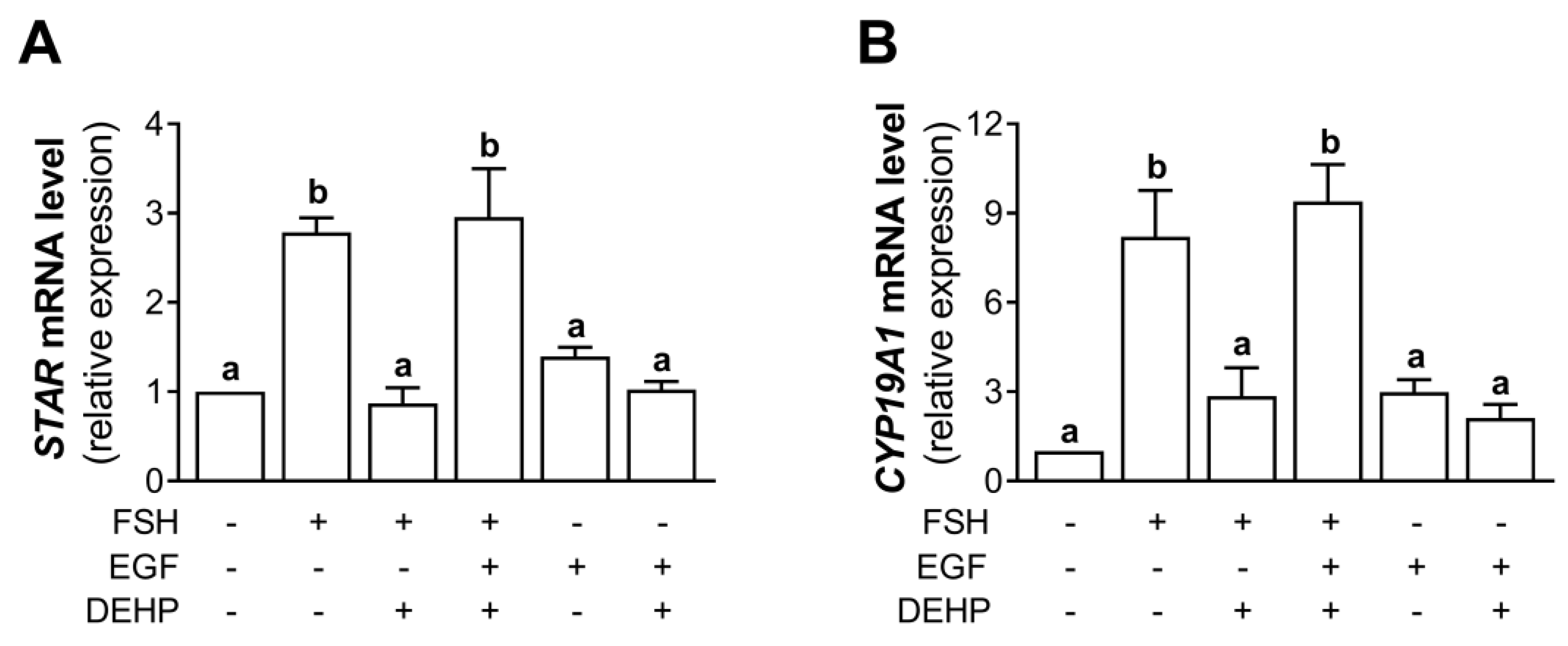 Cells 12 00398 g007 Cells 12 00398 g007