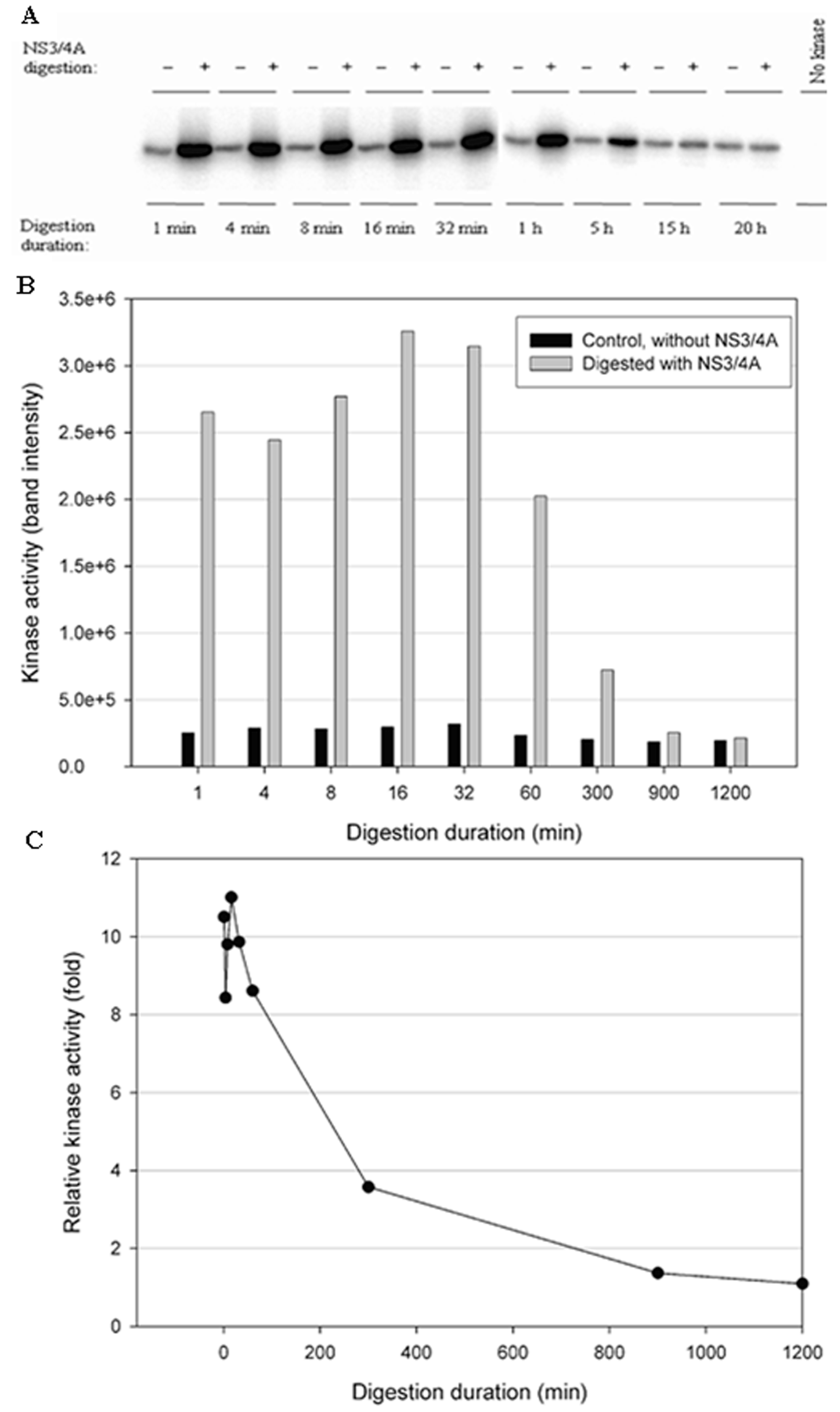 Cells 12 00406 g006 Cells 12 00406 g006
