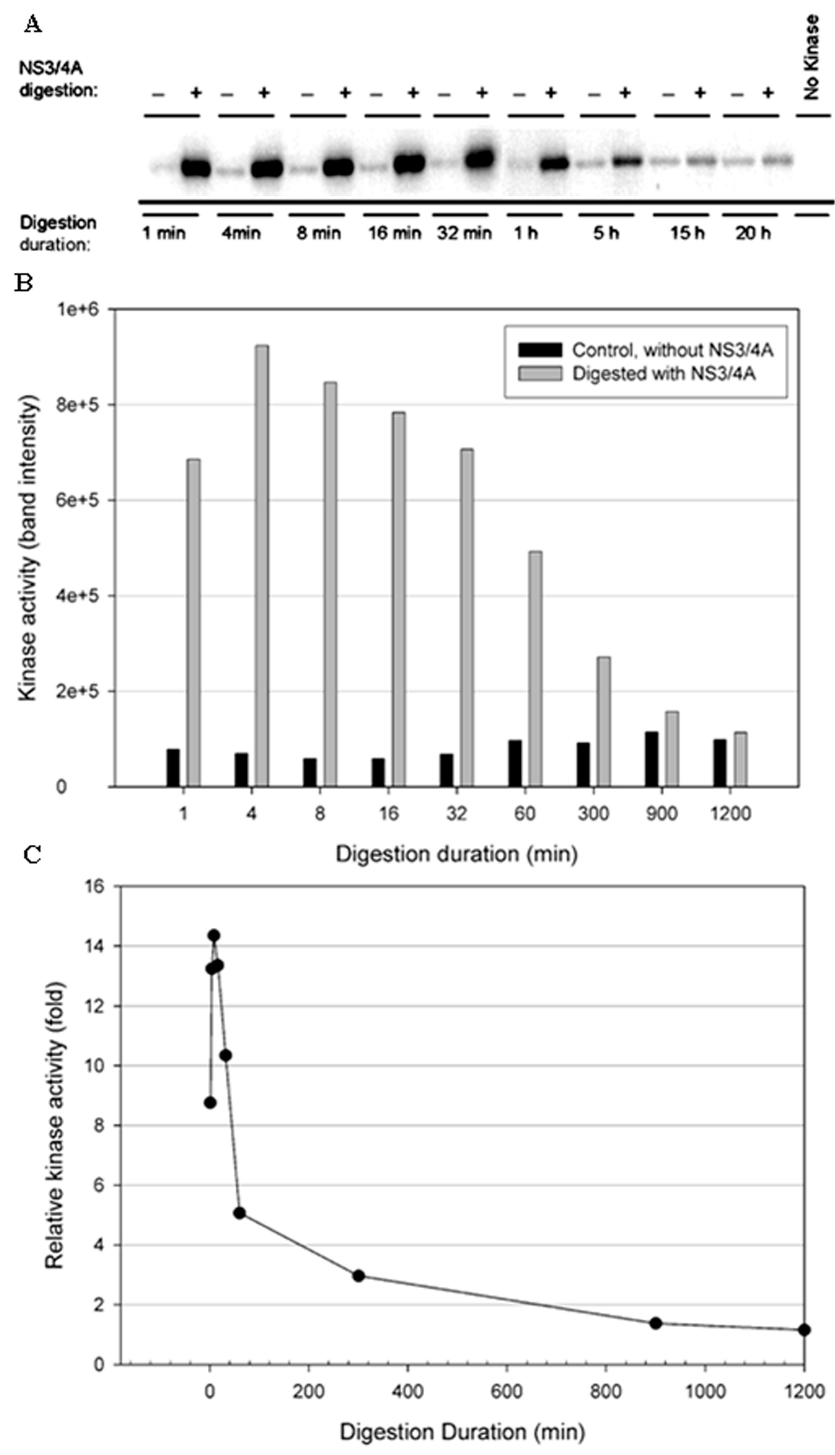 Cells 12 00406 g007 Cells 12 00406 g007