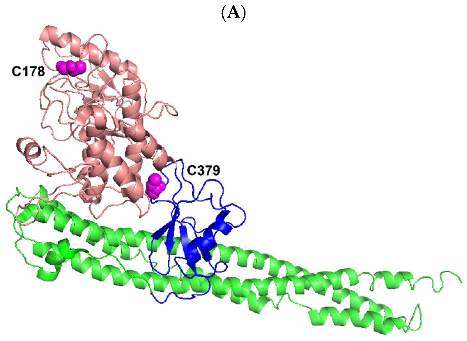 Cells 12 00406 g009a Cells 12 00406 g009a