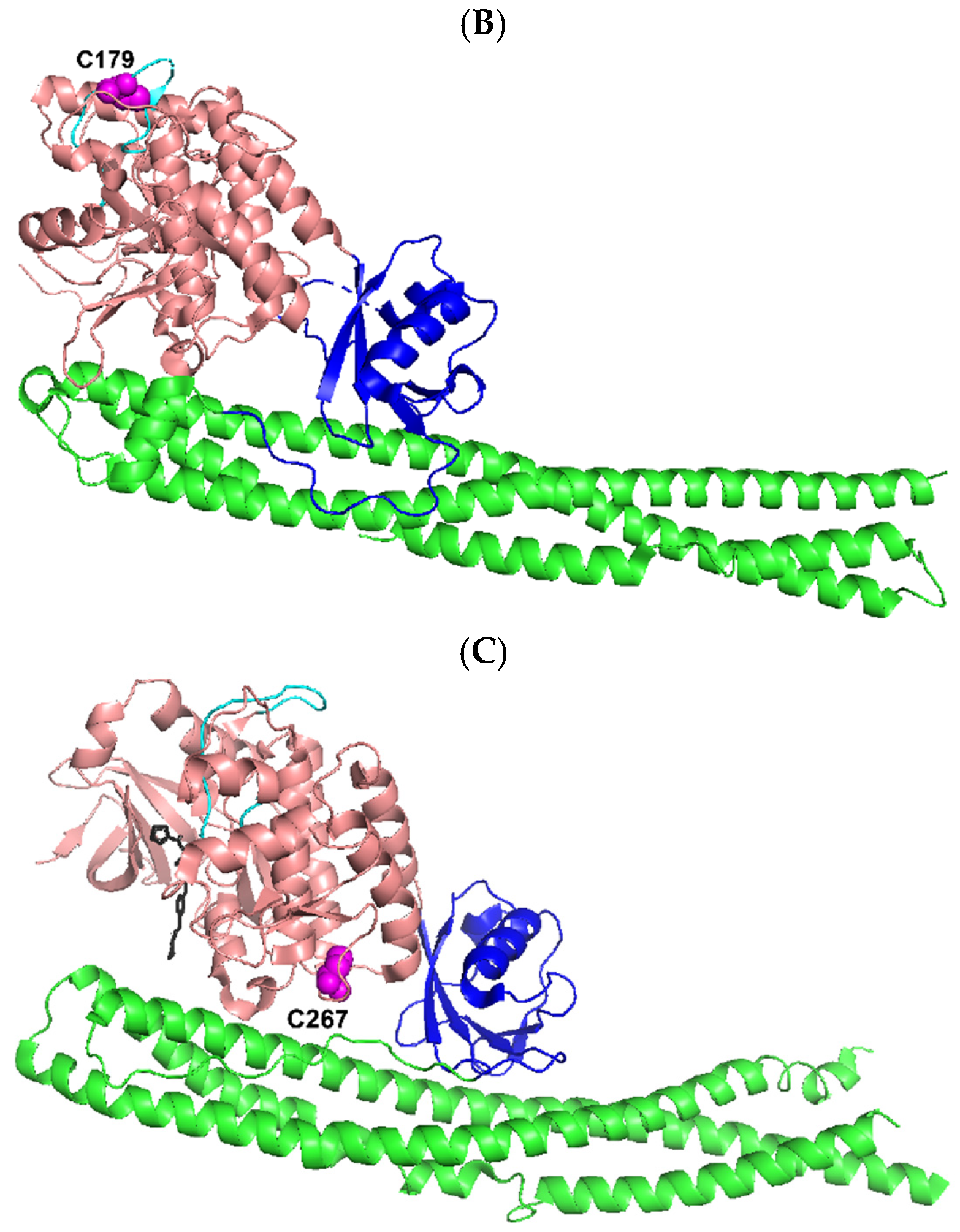 Cells 12 00406 g009b Cells 12 00406 g009b