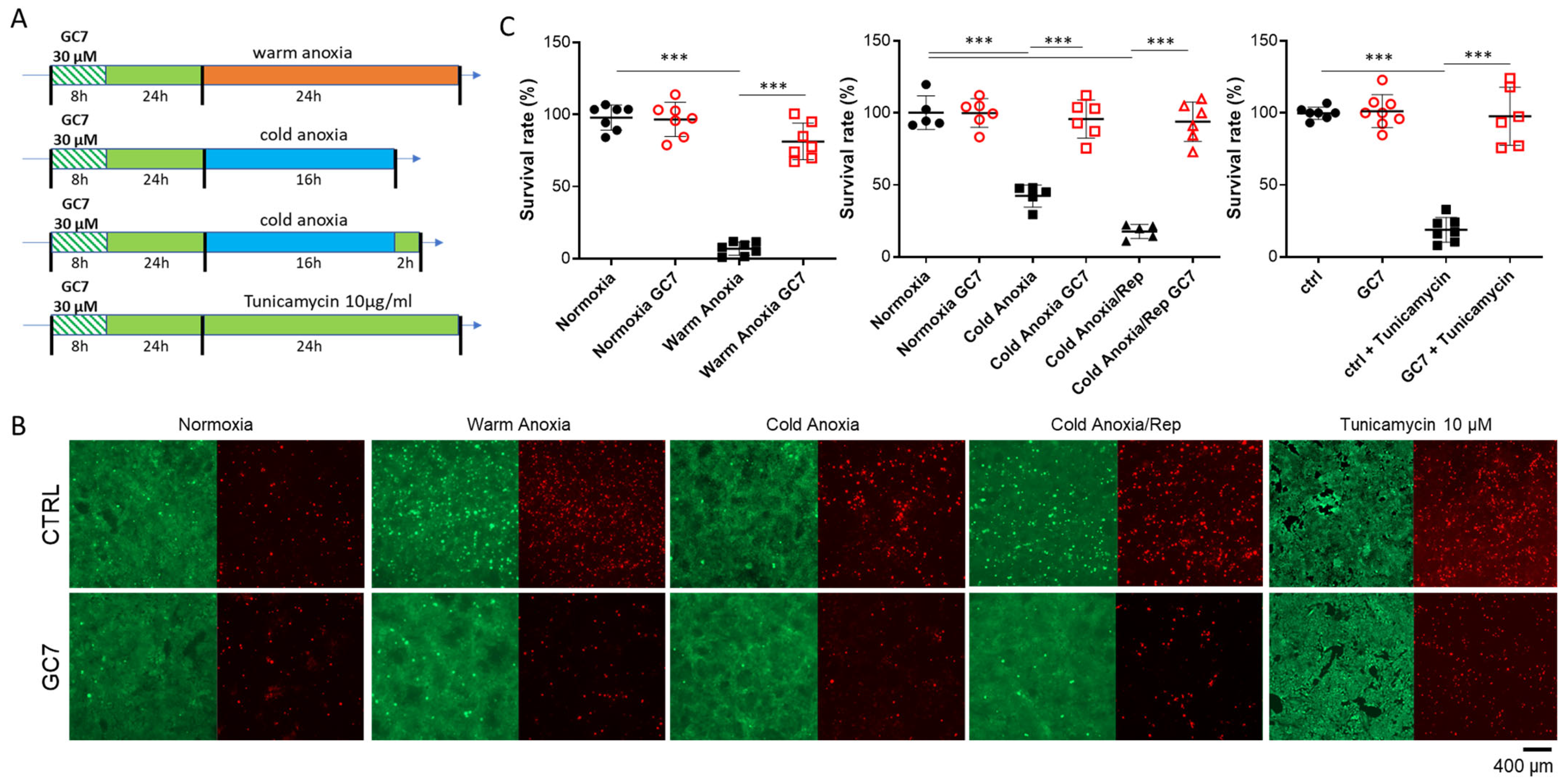 Cells 12 00409 g001 Cells 12 00409 g001