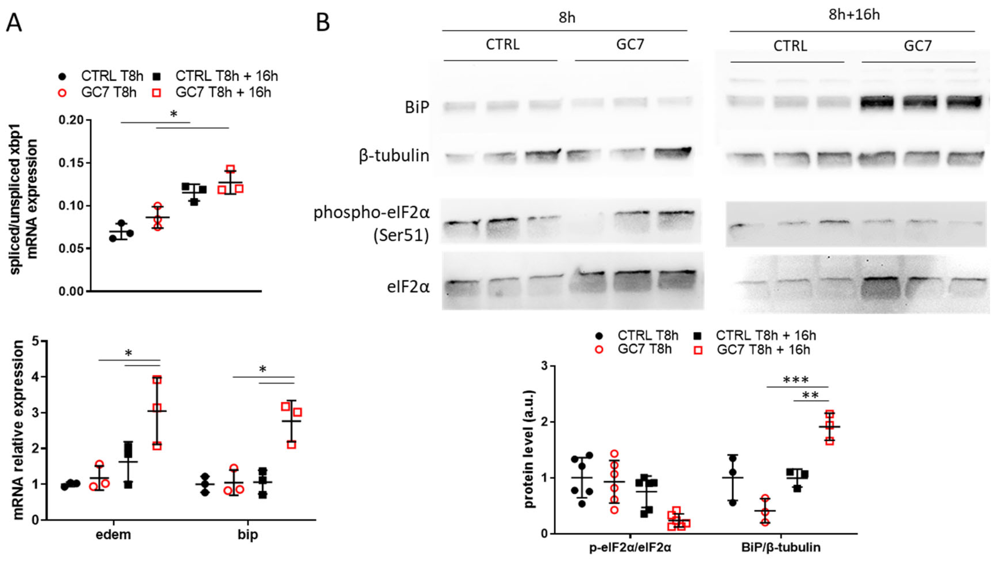 Cells 12 00409 g008 Cells 12 00409 g008