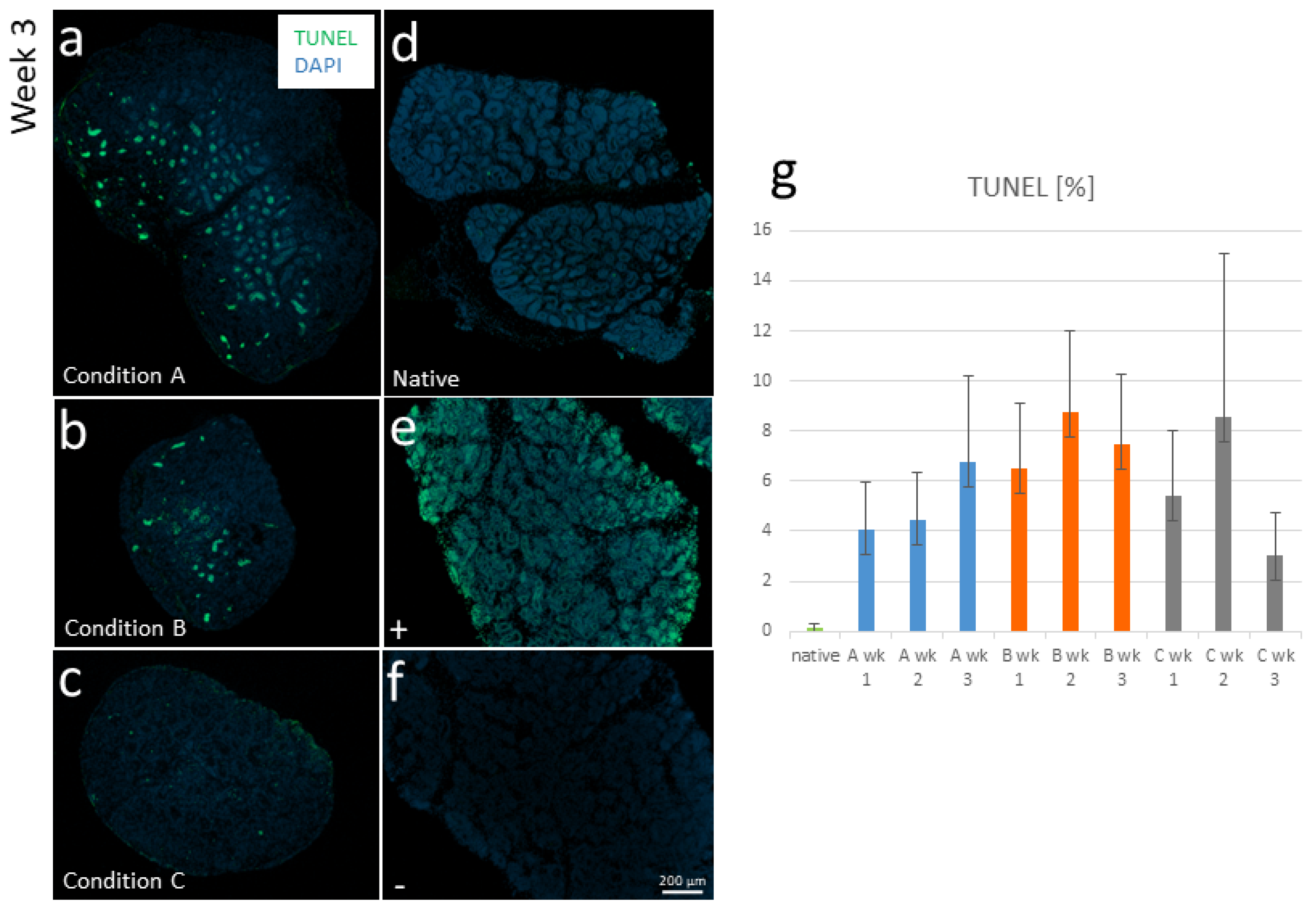 Cells 12 00415 g001 Cells 12 00415 g001