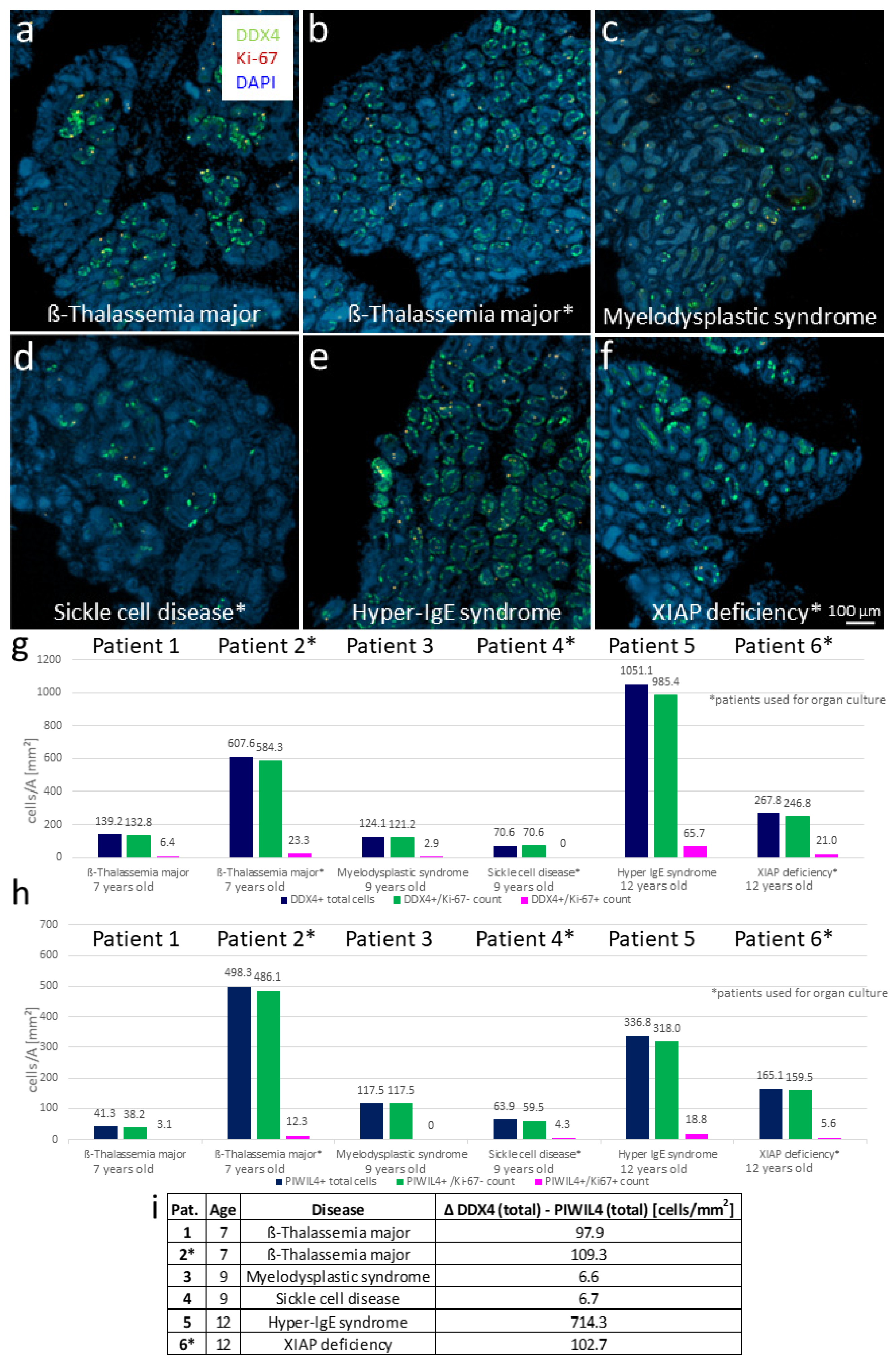 Cells 12 00415 g006 Cells 12 00415 g006
