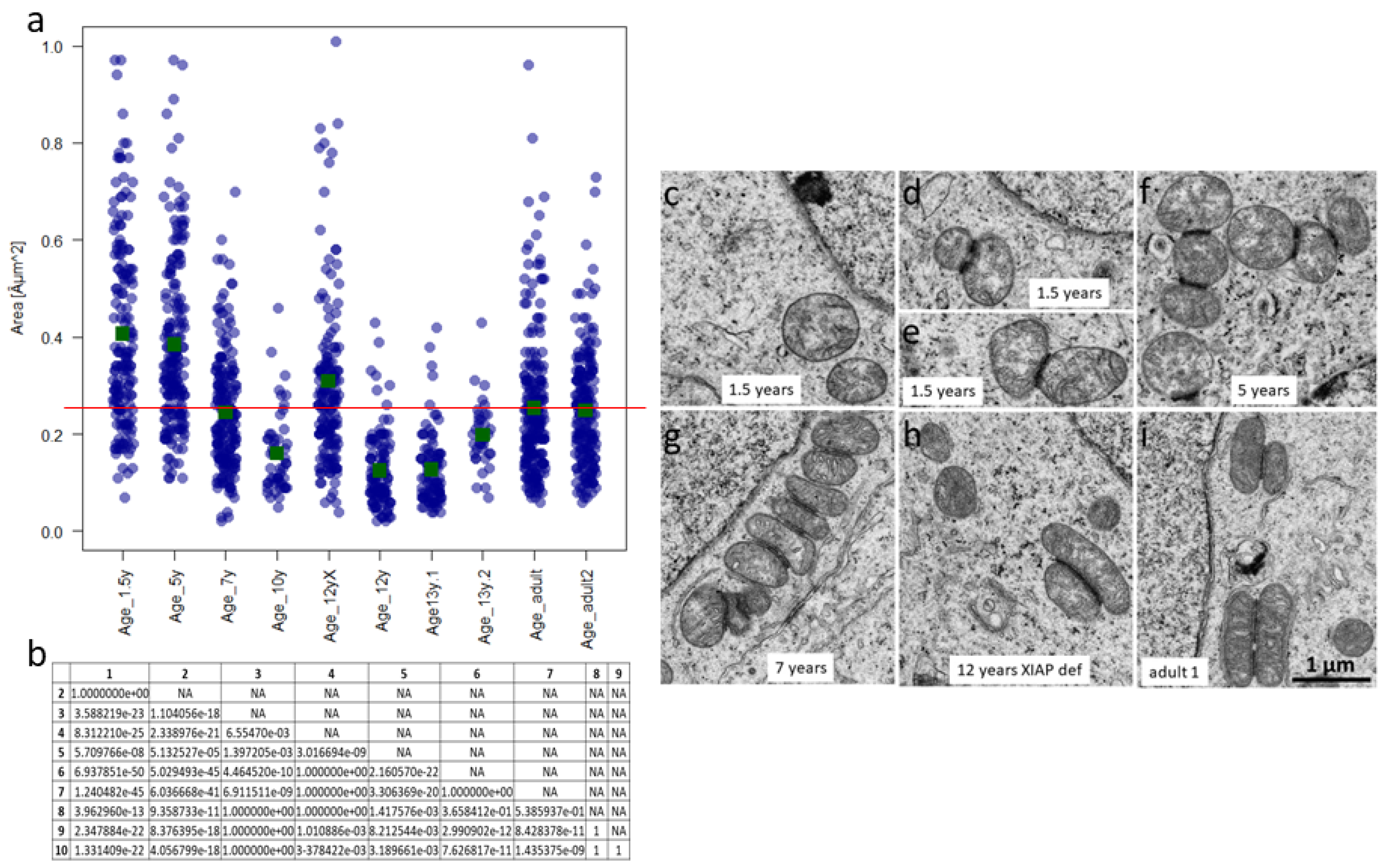 Cells 12 00415 g012 Cells 12 00415 g012