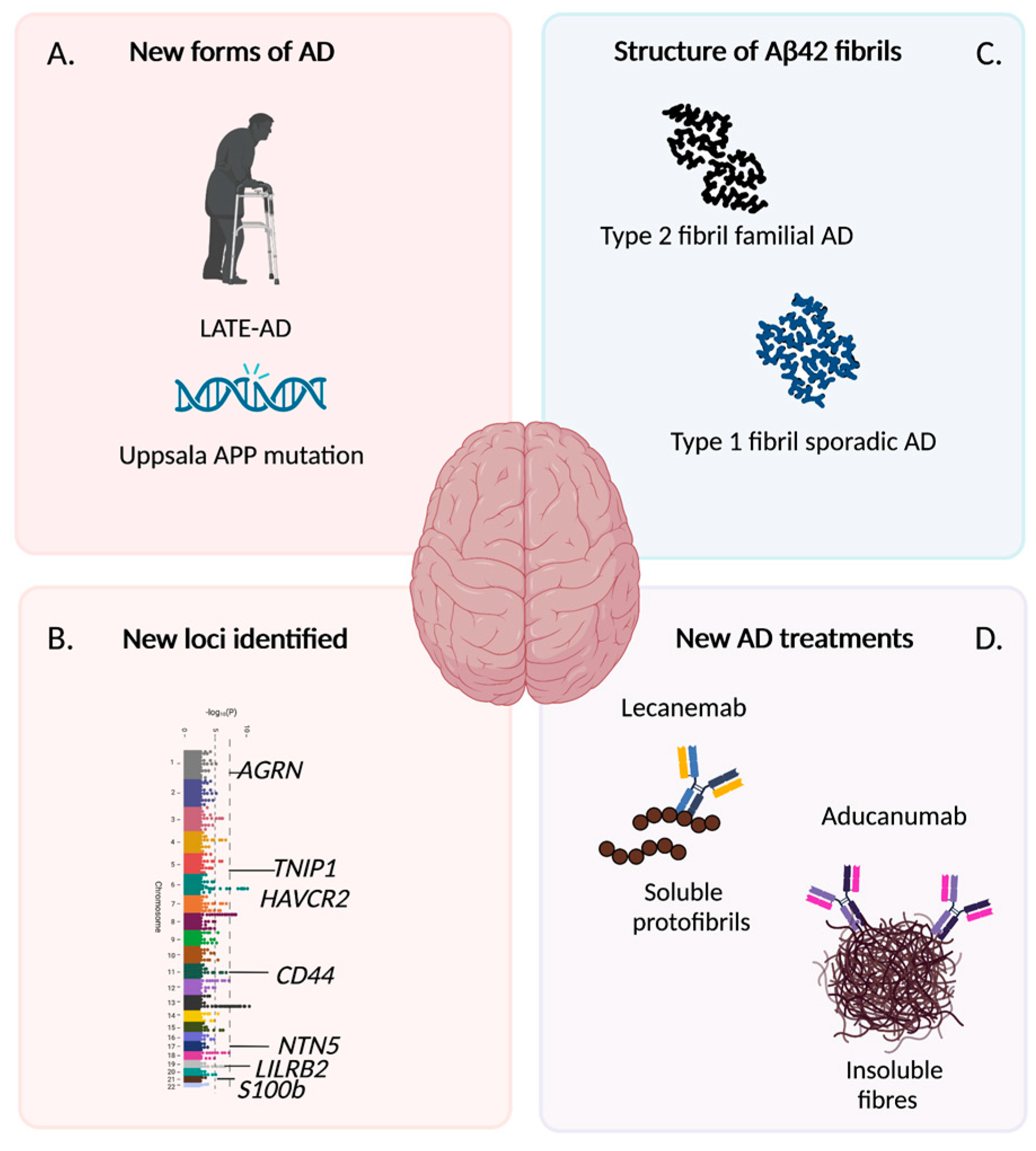 Cells 12 00420 g001 Cells 12 00420 g001