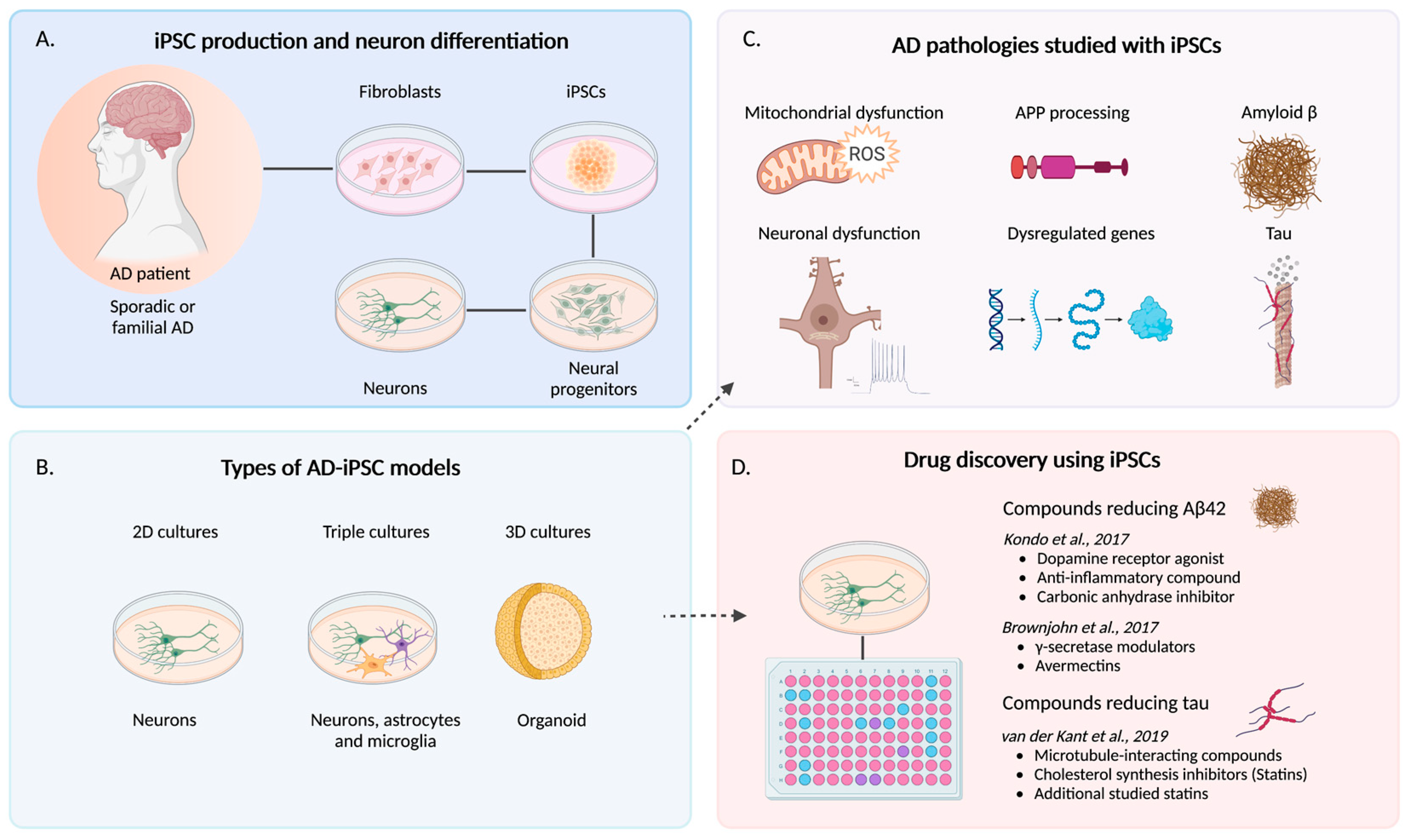 Cells 12 00420 g002 Cells 12 00420 g002
