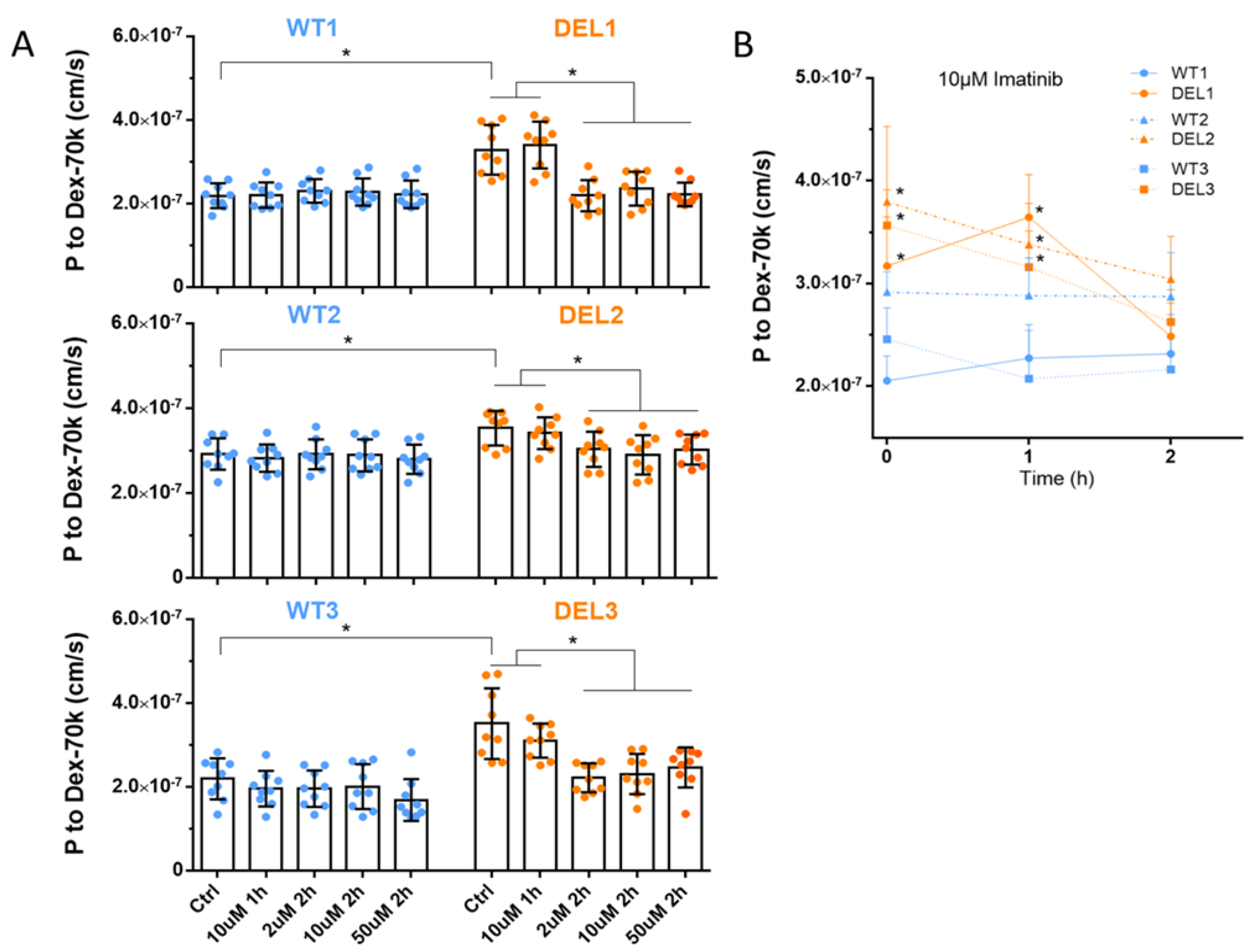 Cells 12 00422 g002 Cells 12 00422 g002