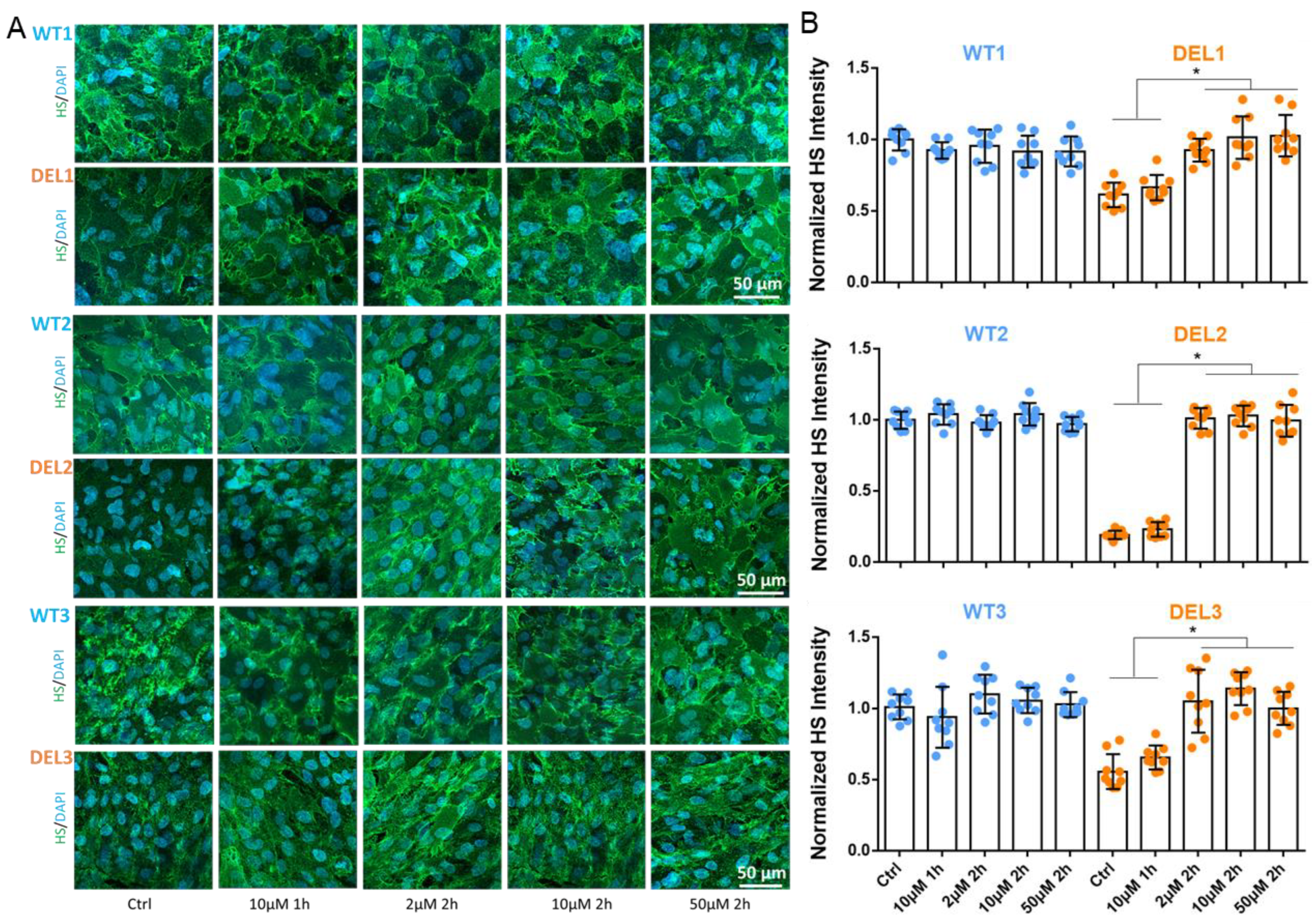 Cells 12 00422 g004 Cells 12 00422 g004