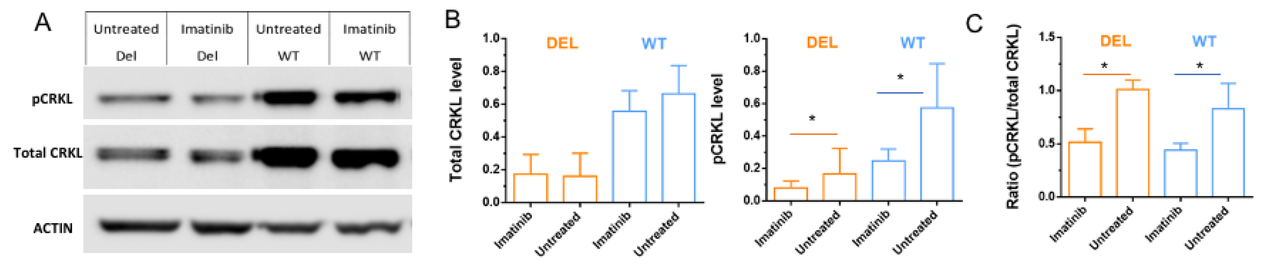Cells 12 00422 g005 Cells 12 00422 g005