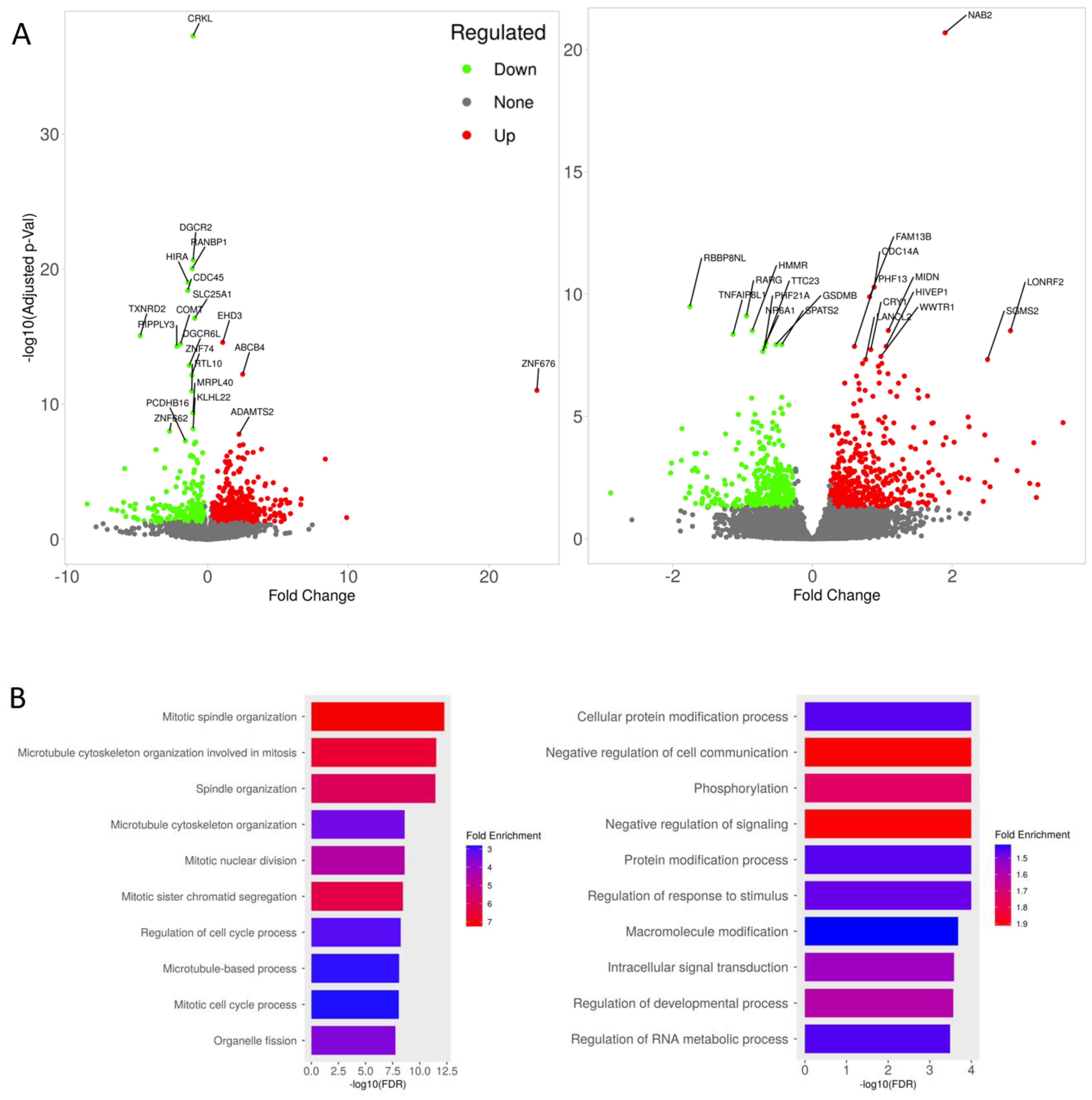 Cells 12 00422 g006a Cells 12 00422 g006a