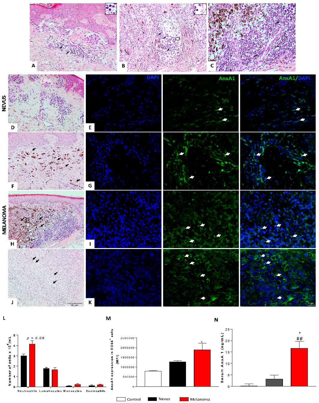 Cells 12 00425 g001 Cells 12 00425 g001