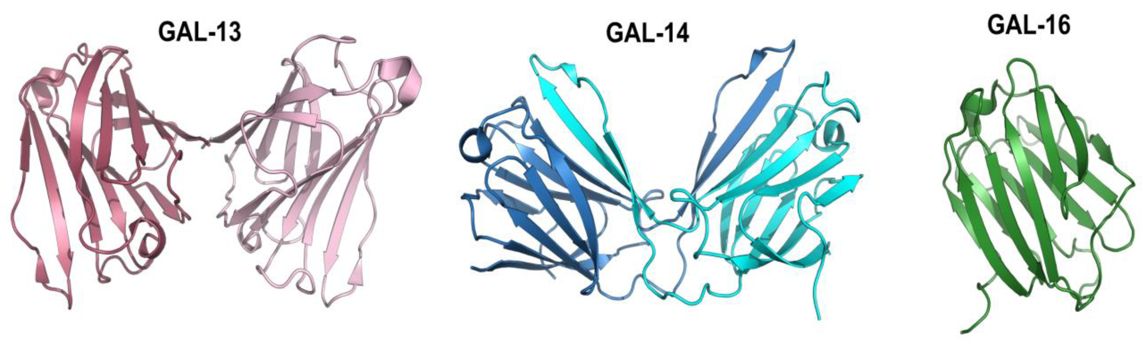 Cells 12 00437 g001 Cells 12 00437 g001