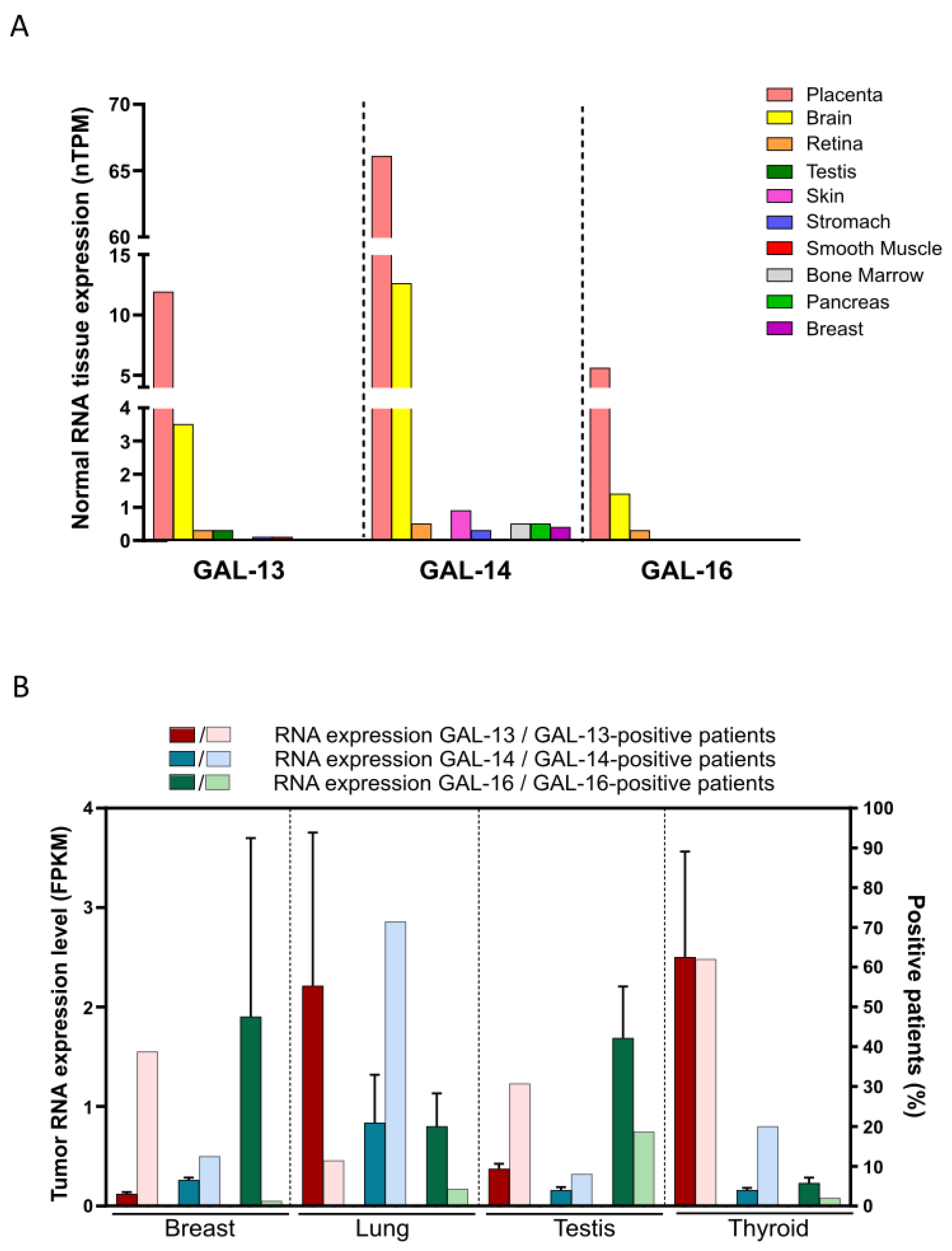 Cells 12 00437 g002 Cells 12 00437 g002